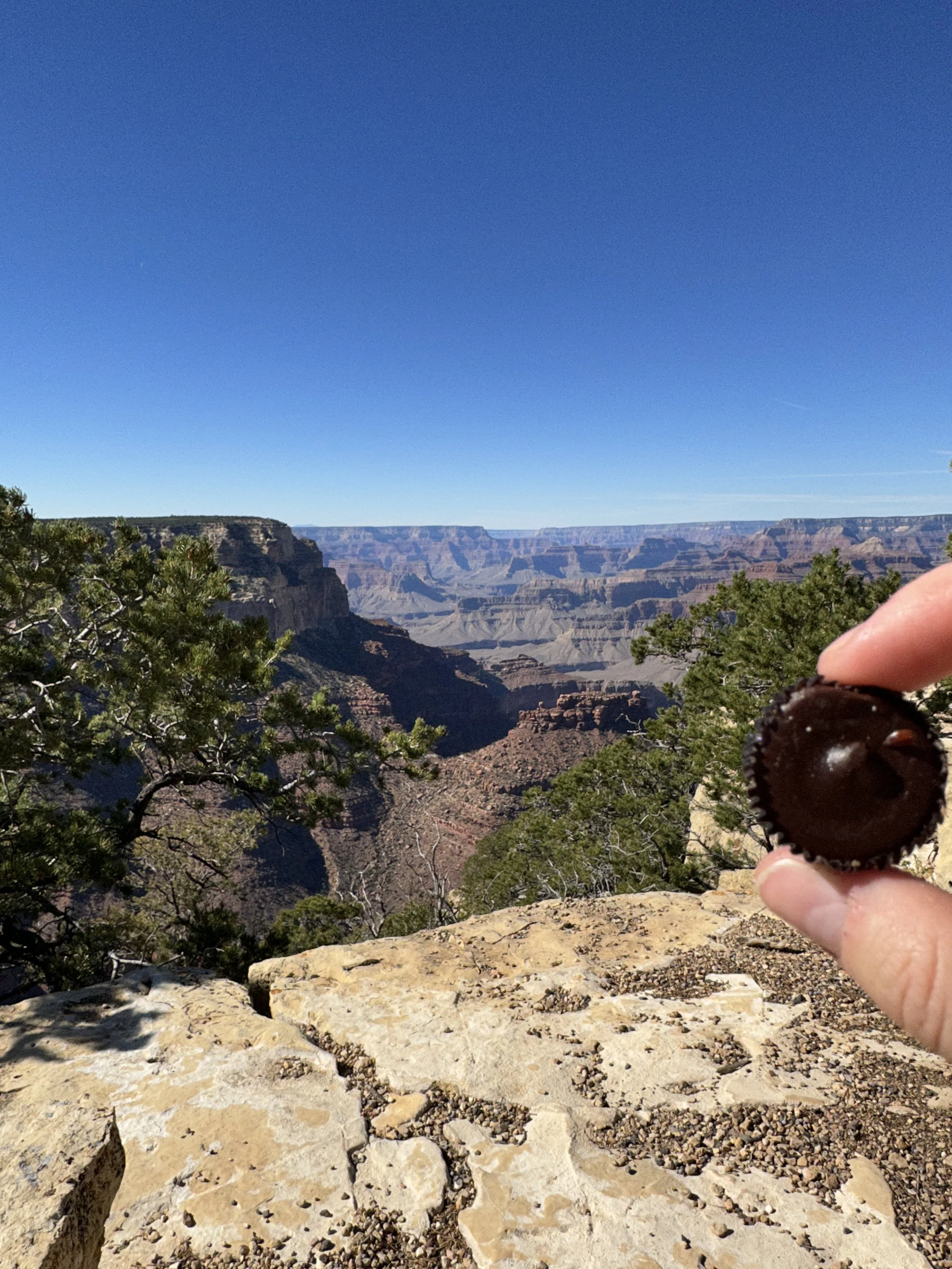 TJ's Dark choco PB Cup, Grand Canyon, 2022