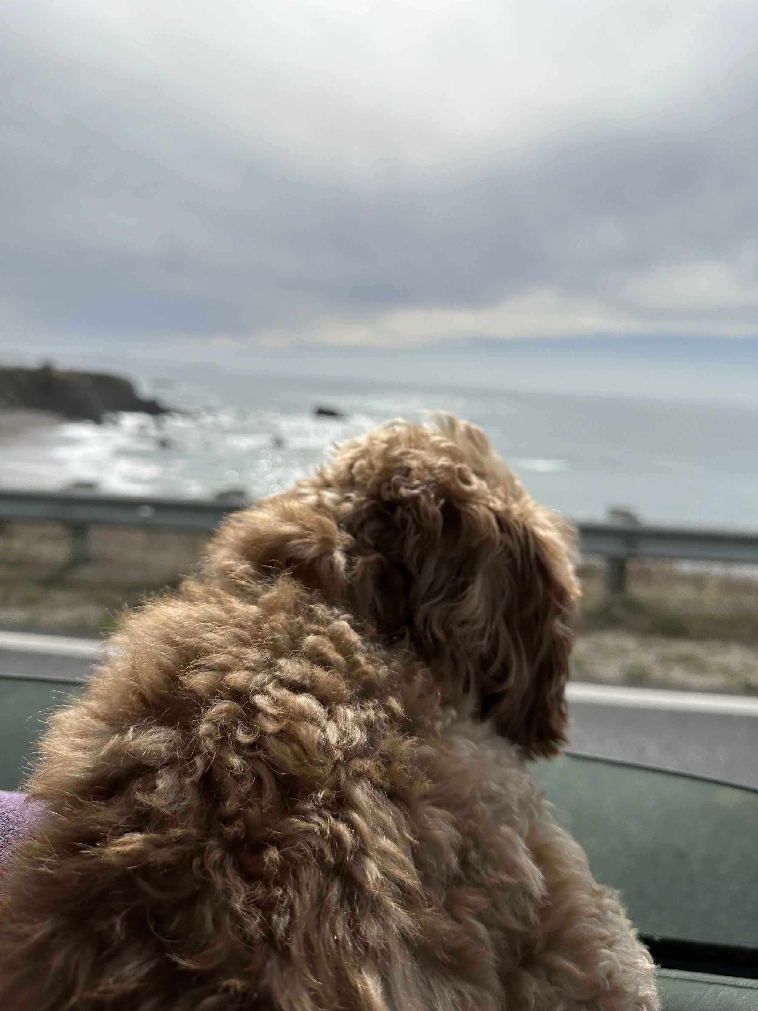 PCH Views, 2022