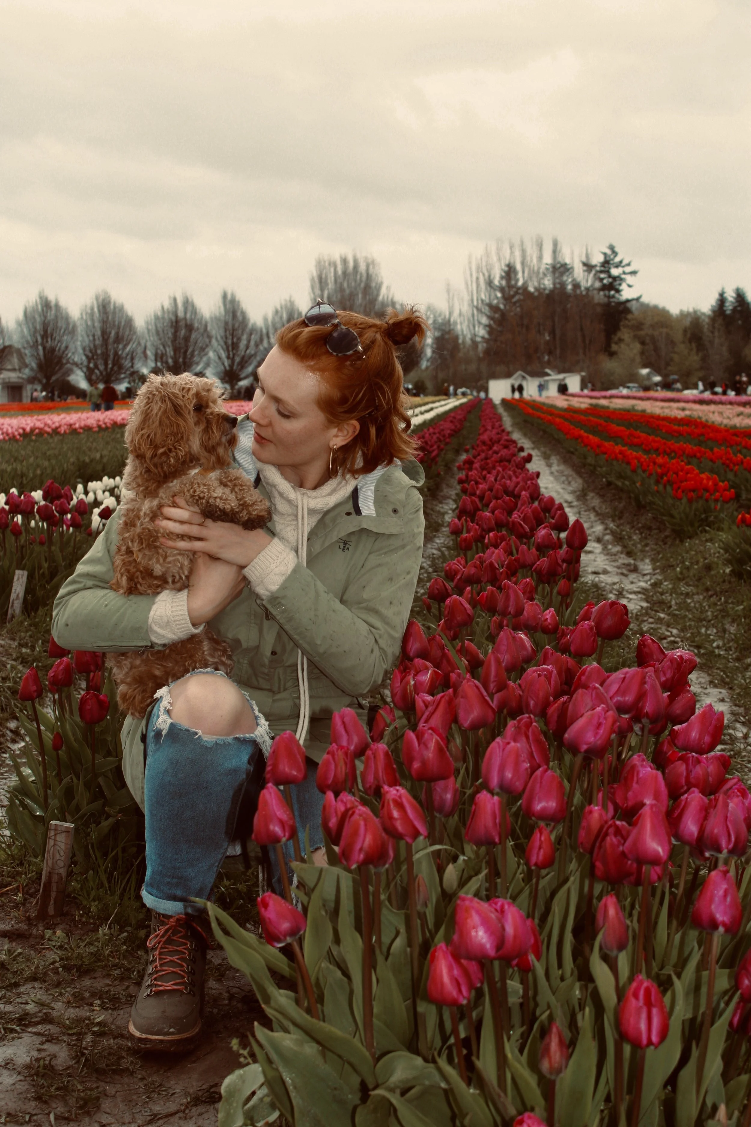 Tulip Festival, Washington, 2023