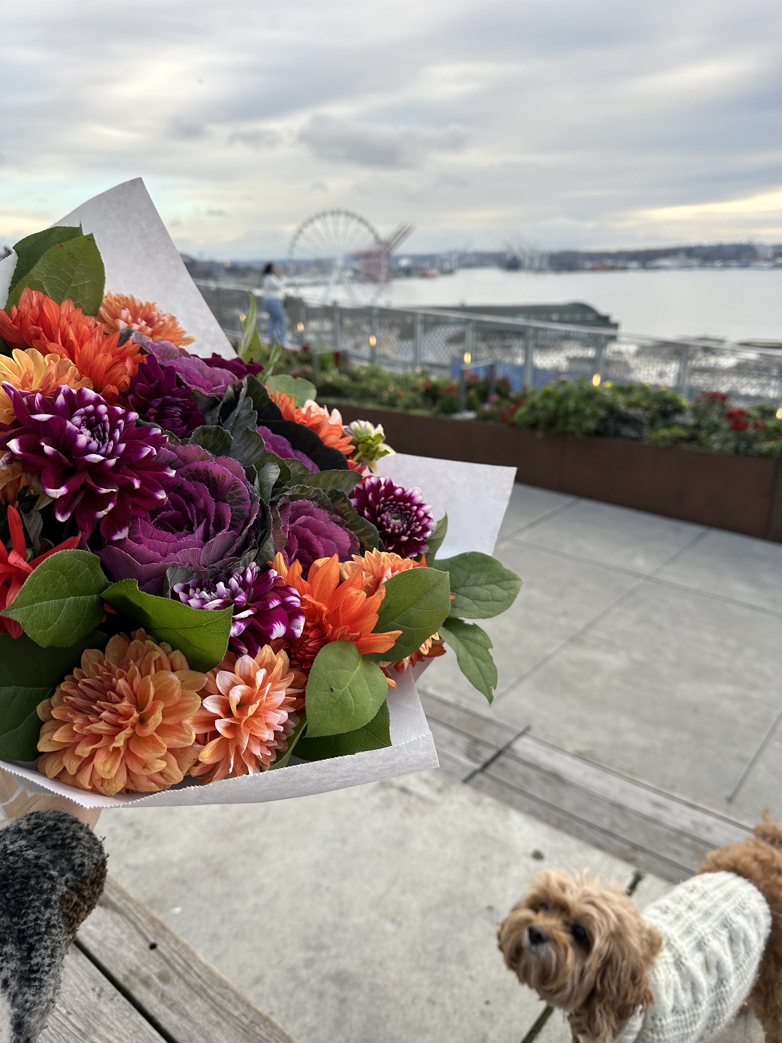 Pike Place Waterfront, 2024