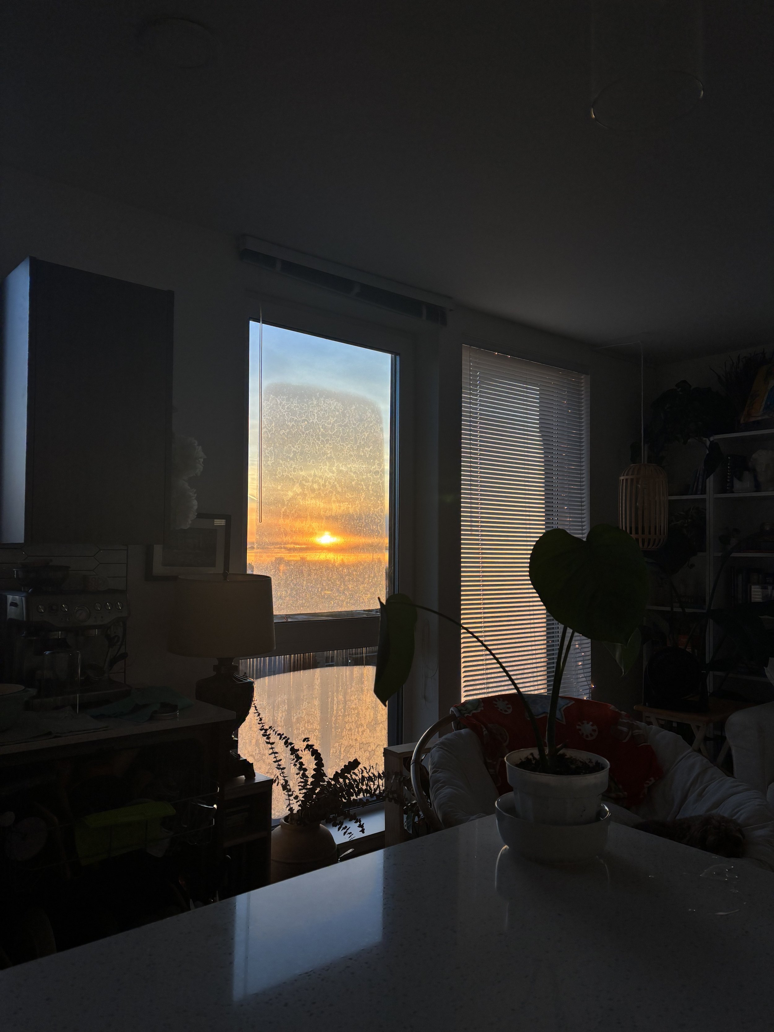 Mornings in my apartment, Everett, Washington, 2024