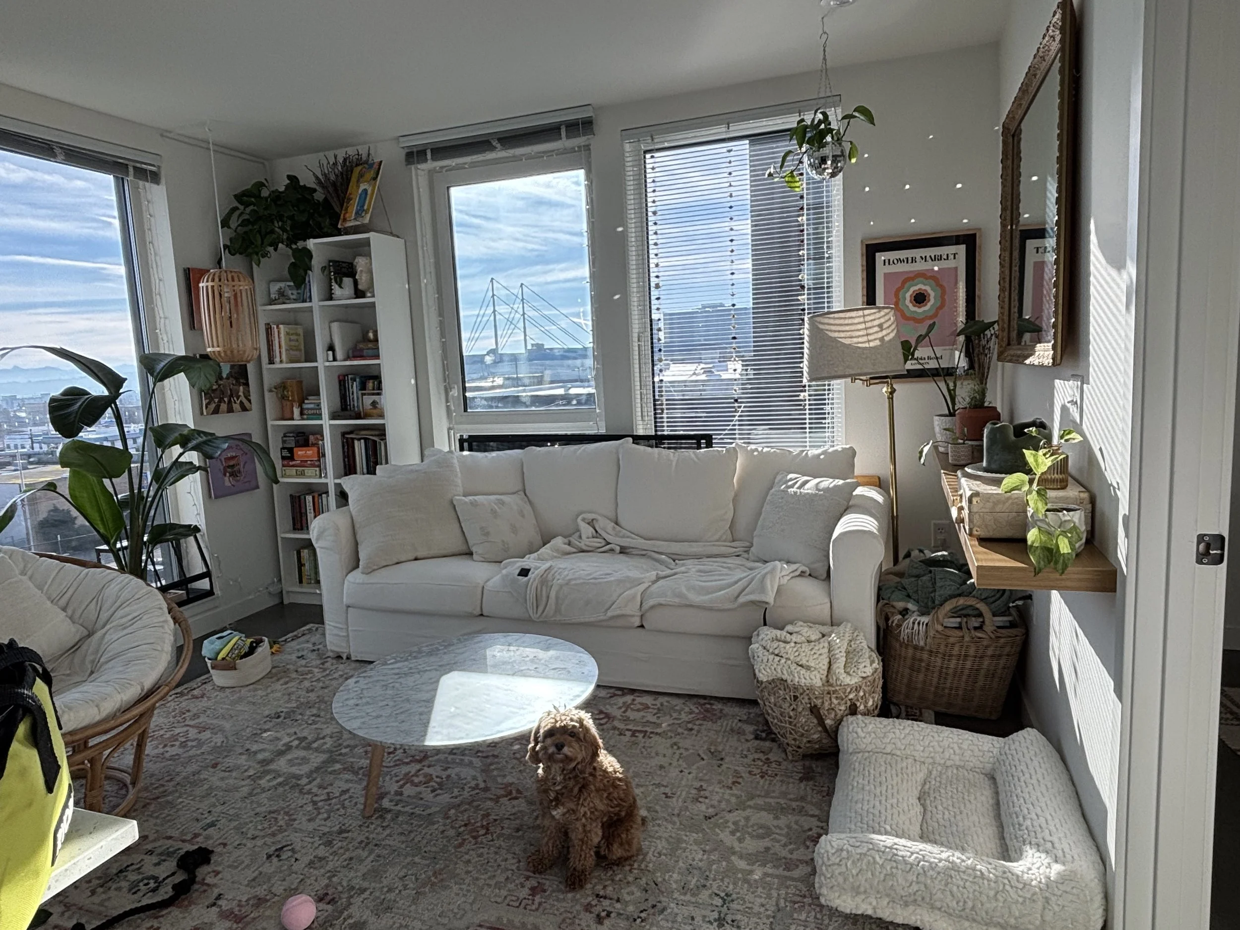 Views inside my apartment, Everett, 2025