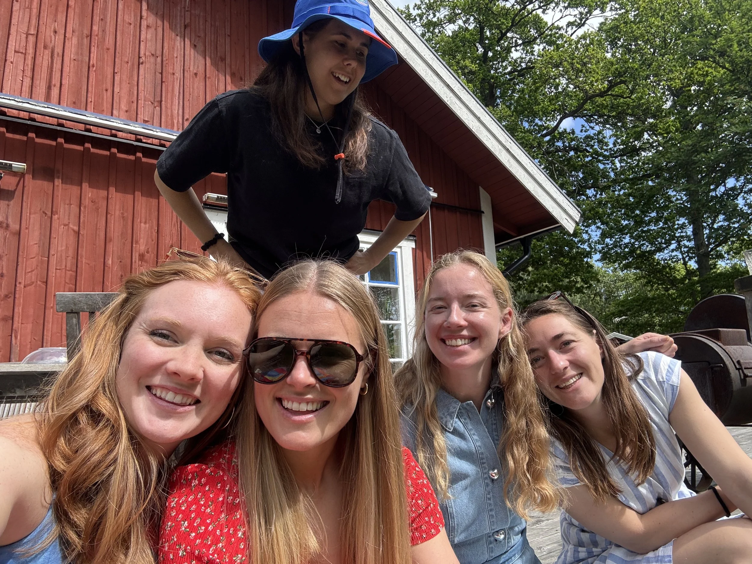 Midsommar in Sweden, 2025