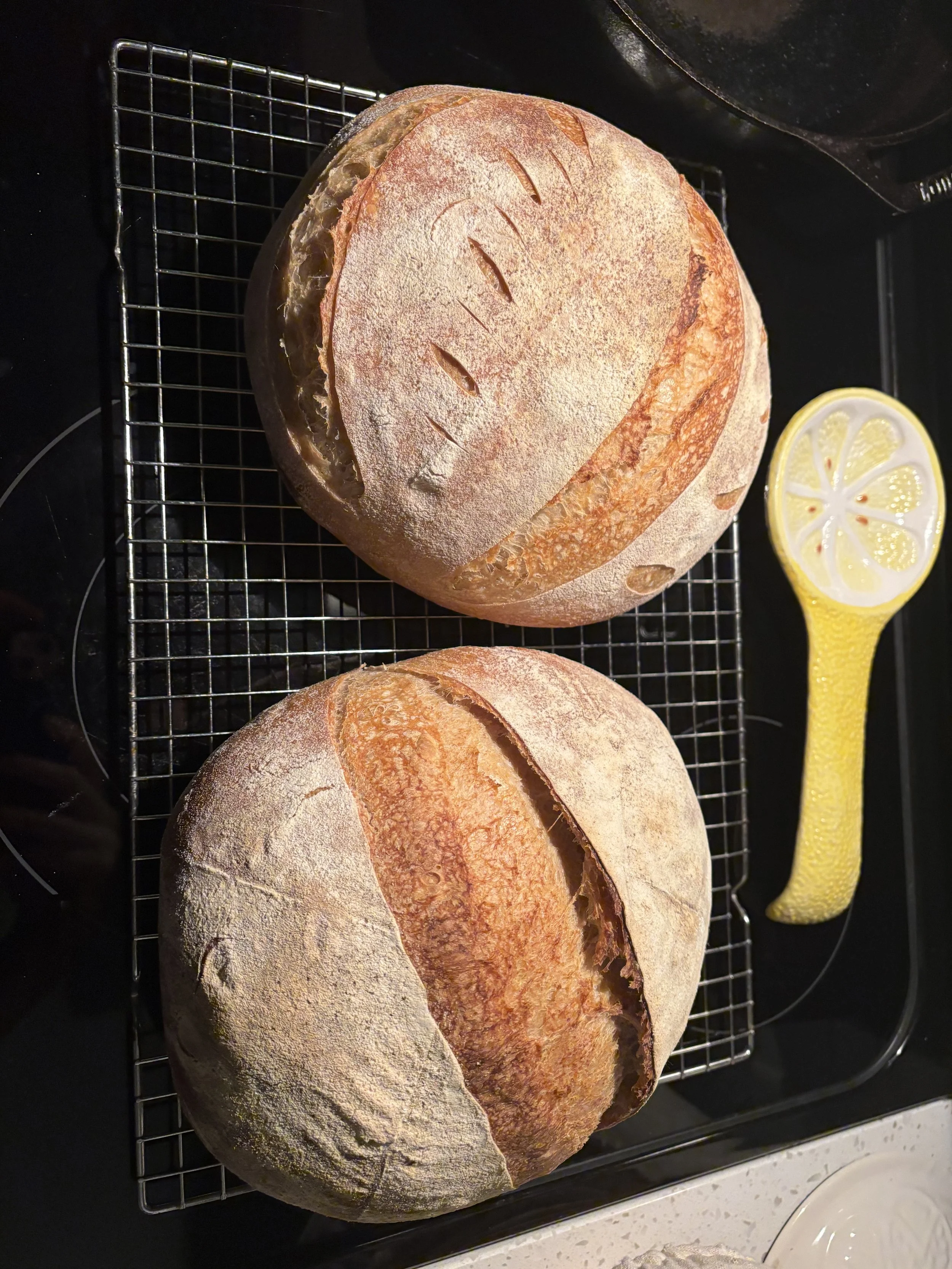 Bread skills are improving, 2025