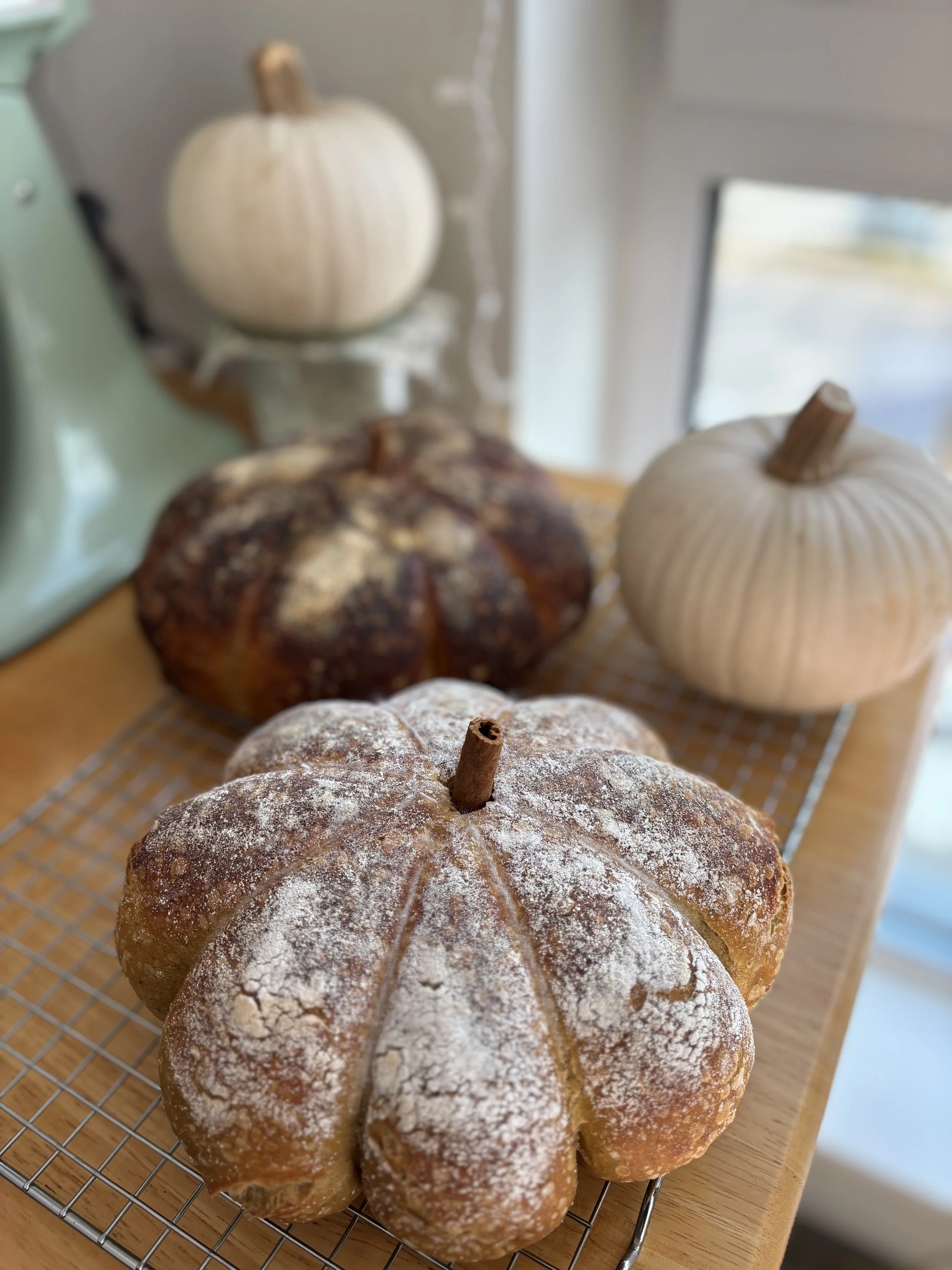 Pumpkin bread, 2025
