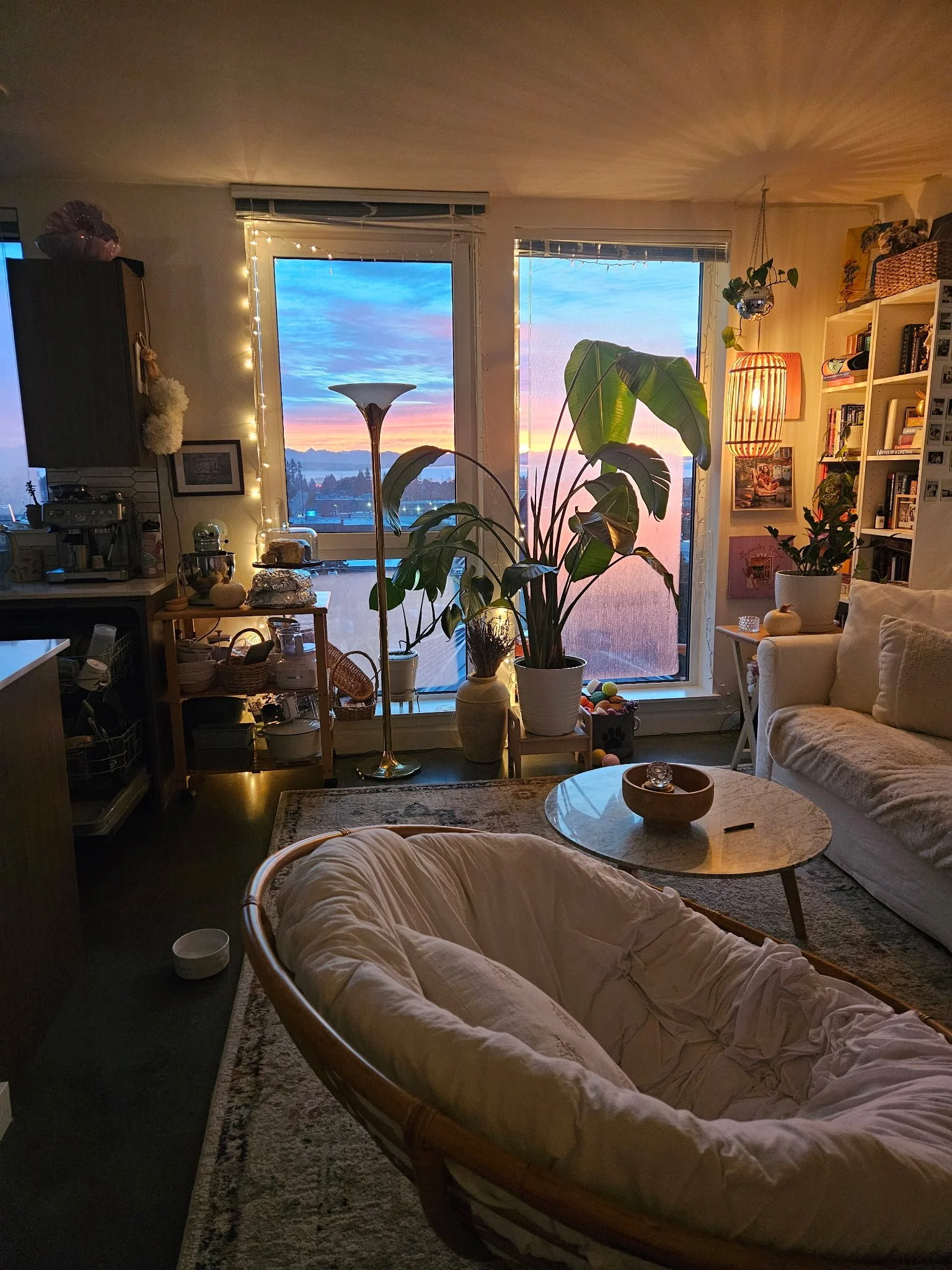 Views inside, Everett, 2025