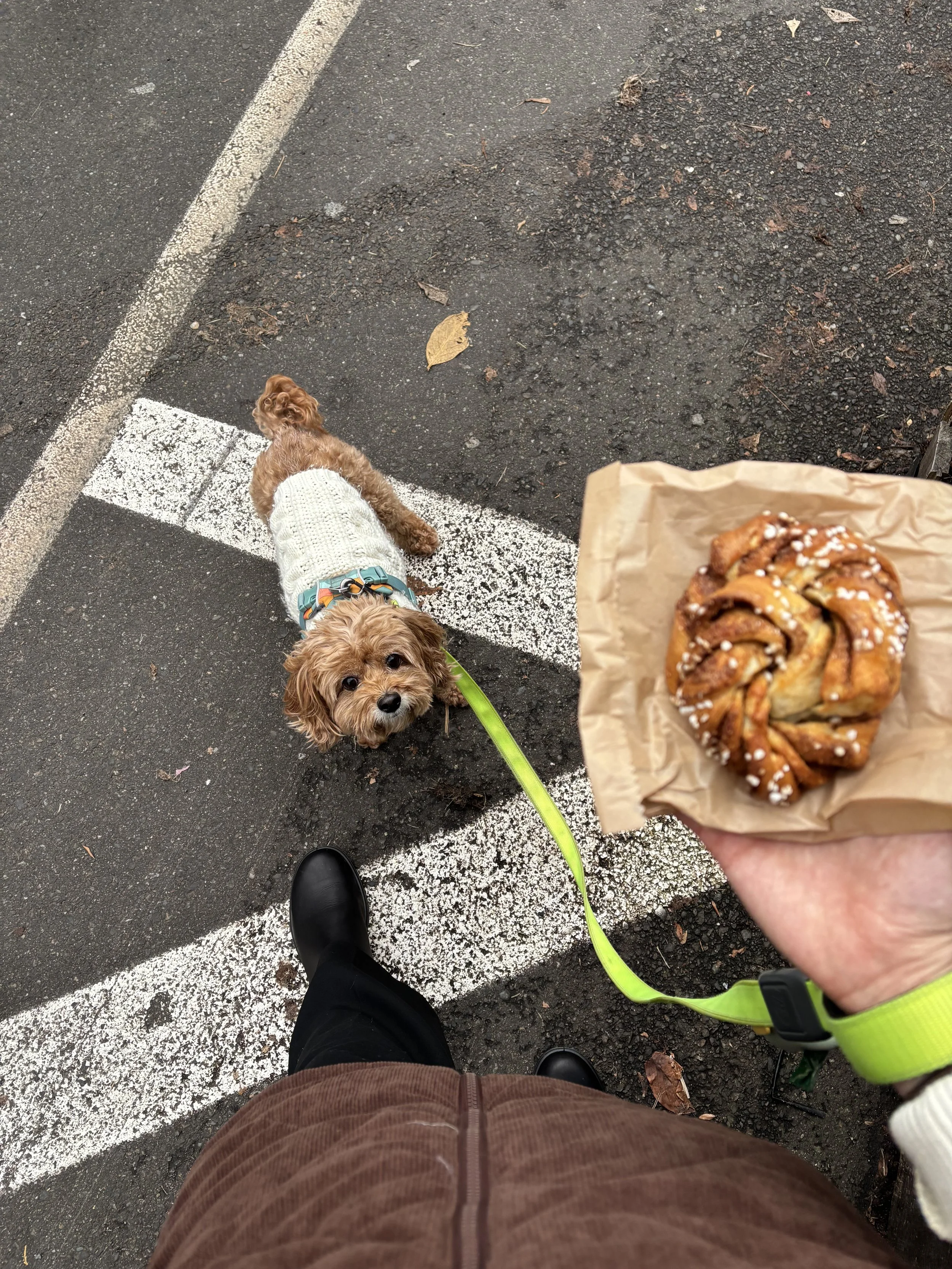 Last trip to Ballard Farmer's Market, 2025