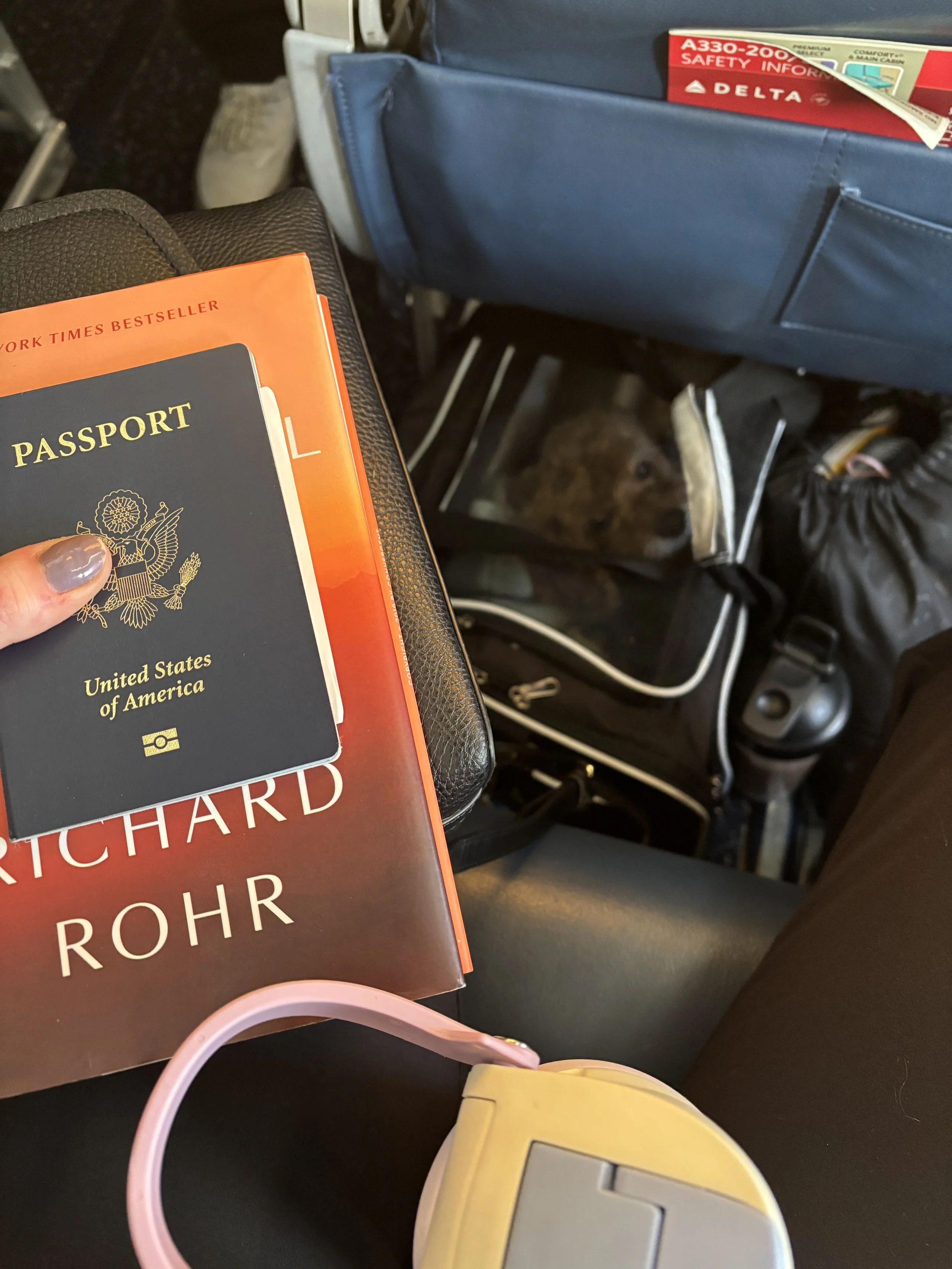On my flight to Paris, January 2026