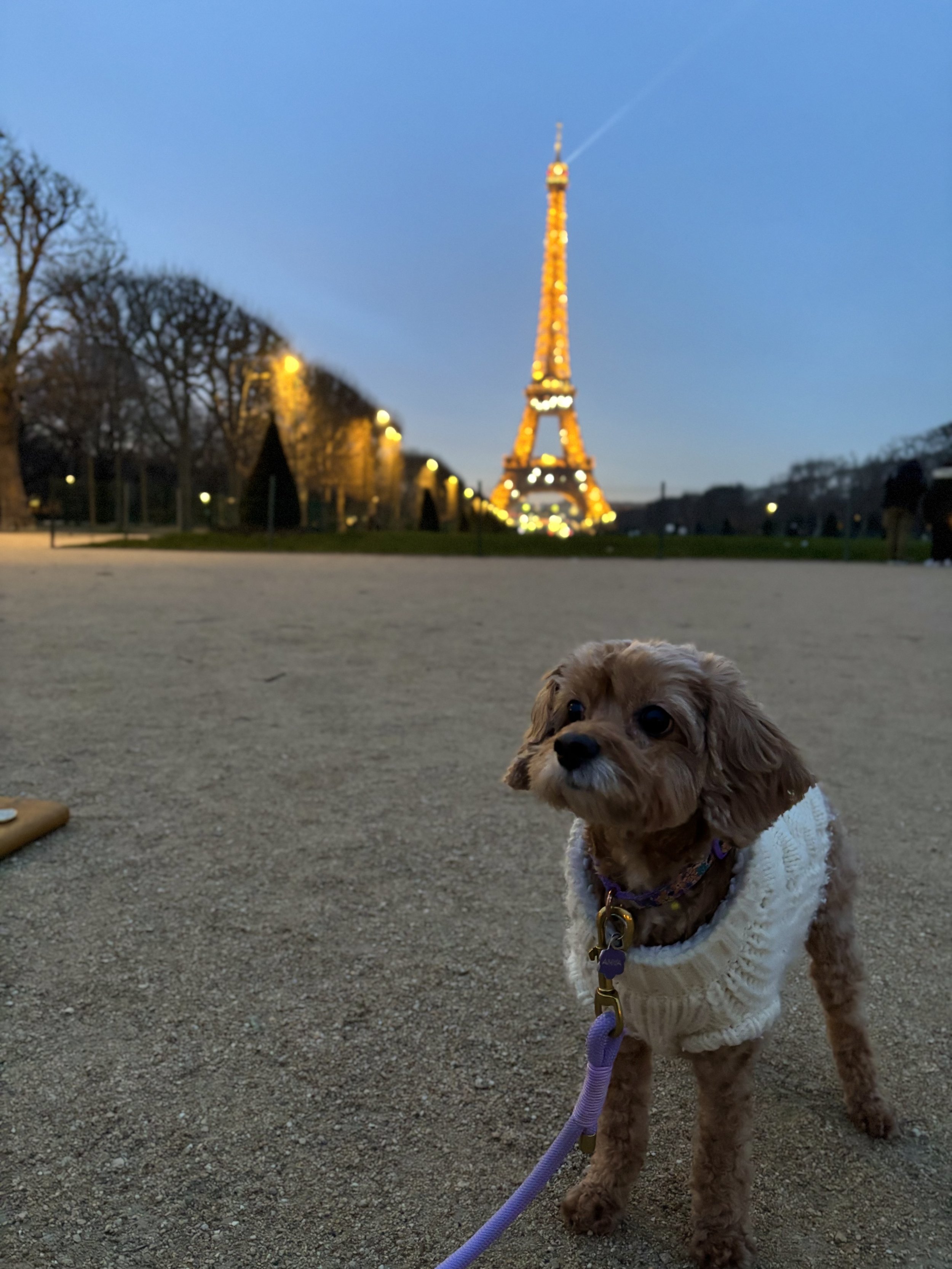 First day in Paris, 2026