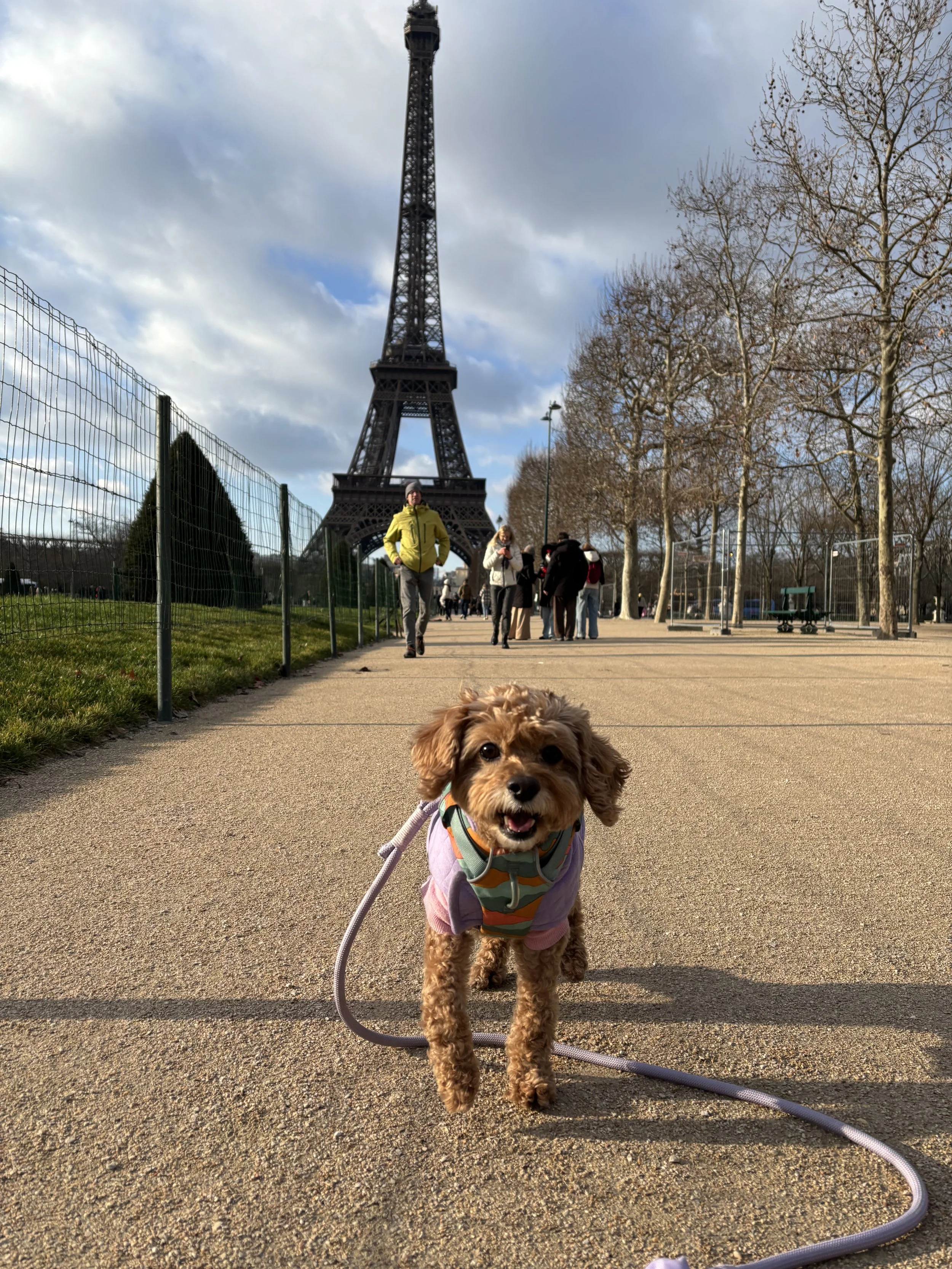 Anya at the Eiffel Tower, 2026