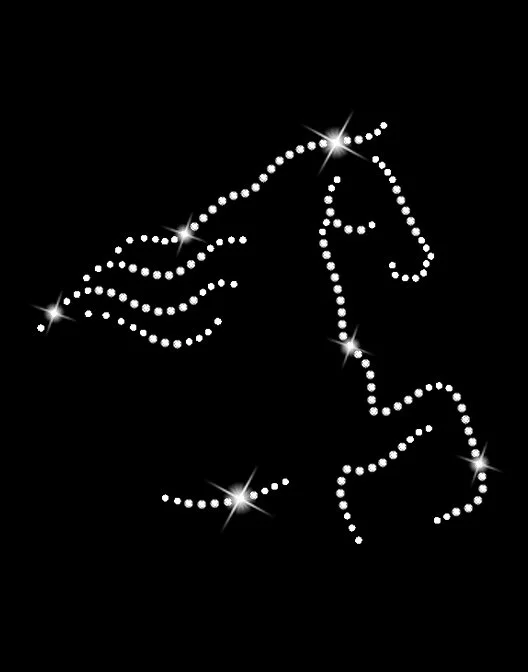 his design blk bg.jpg