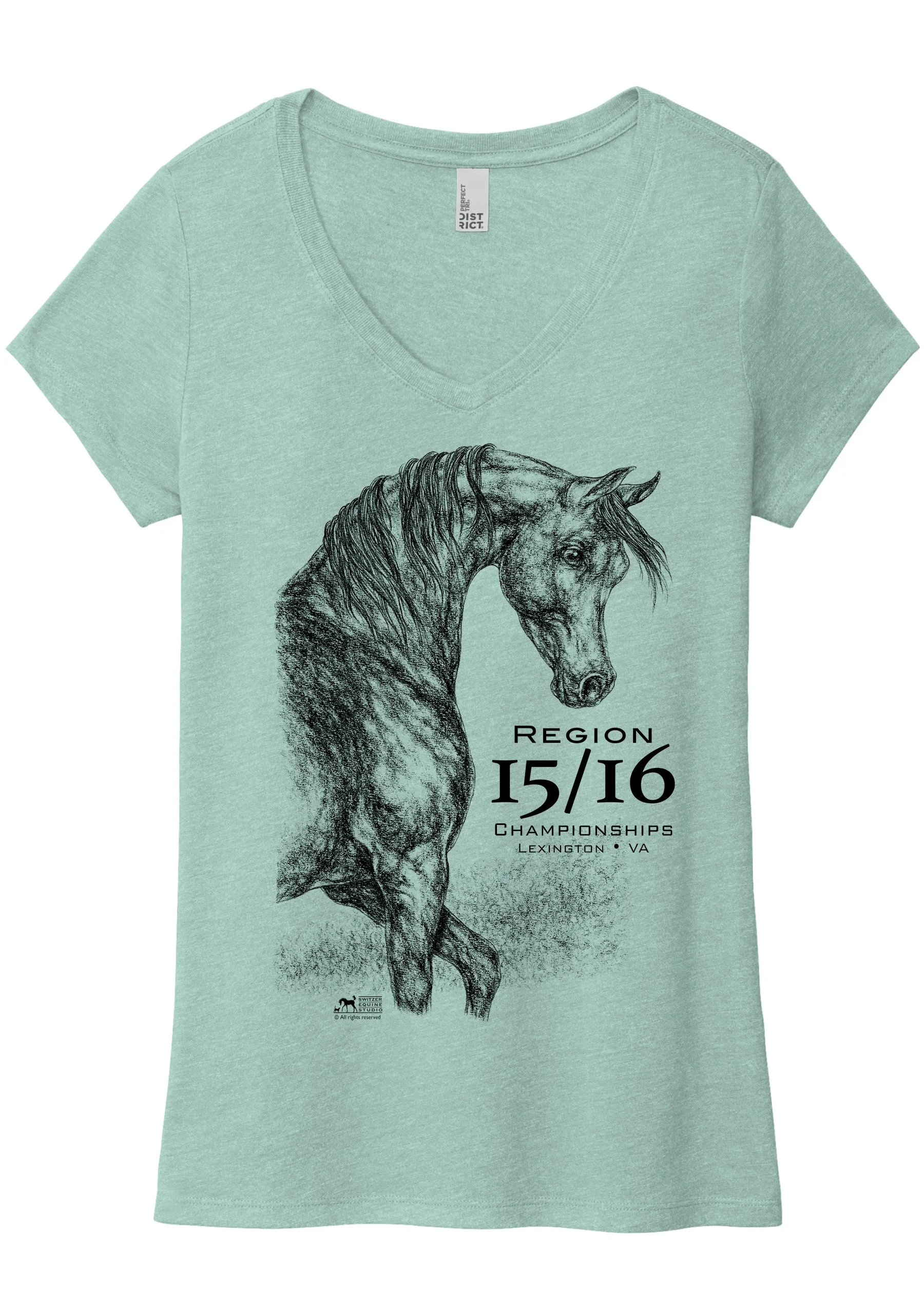 Region 15-16 2026 sage v-neck.jpg