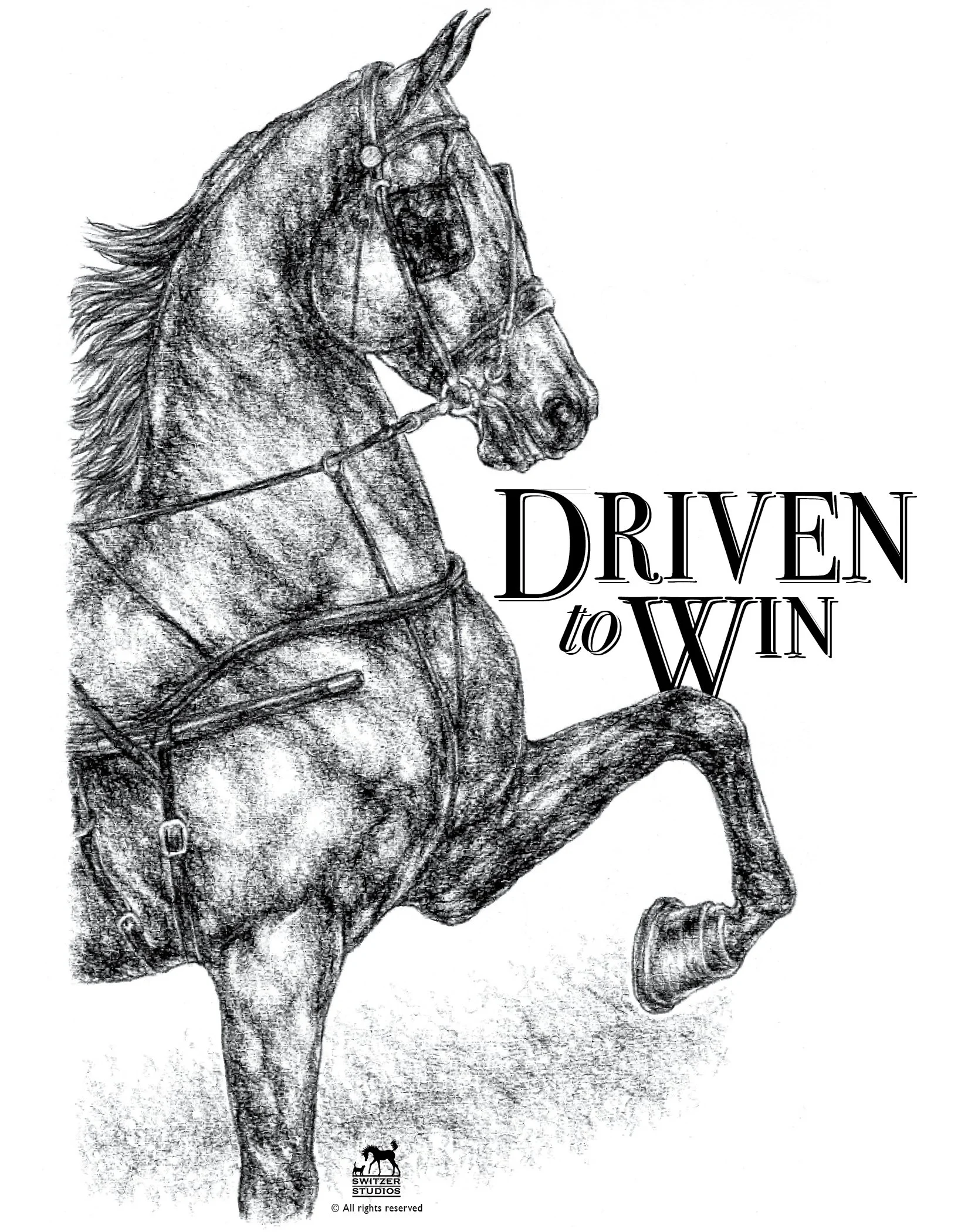 Driven to Win website art.jpg