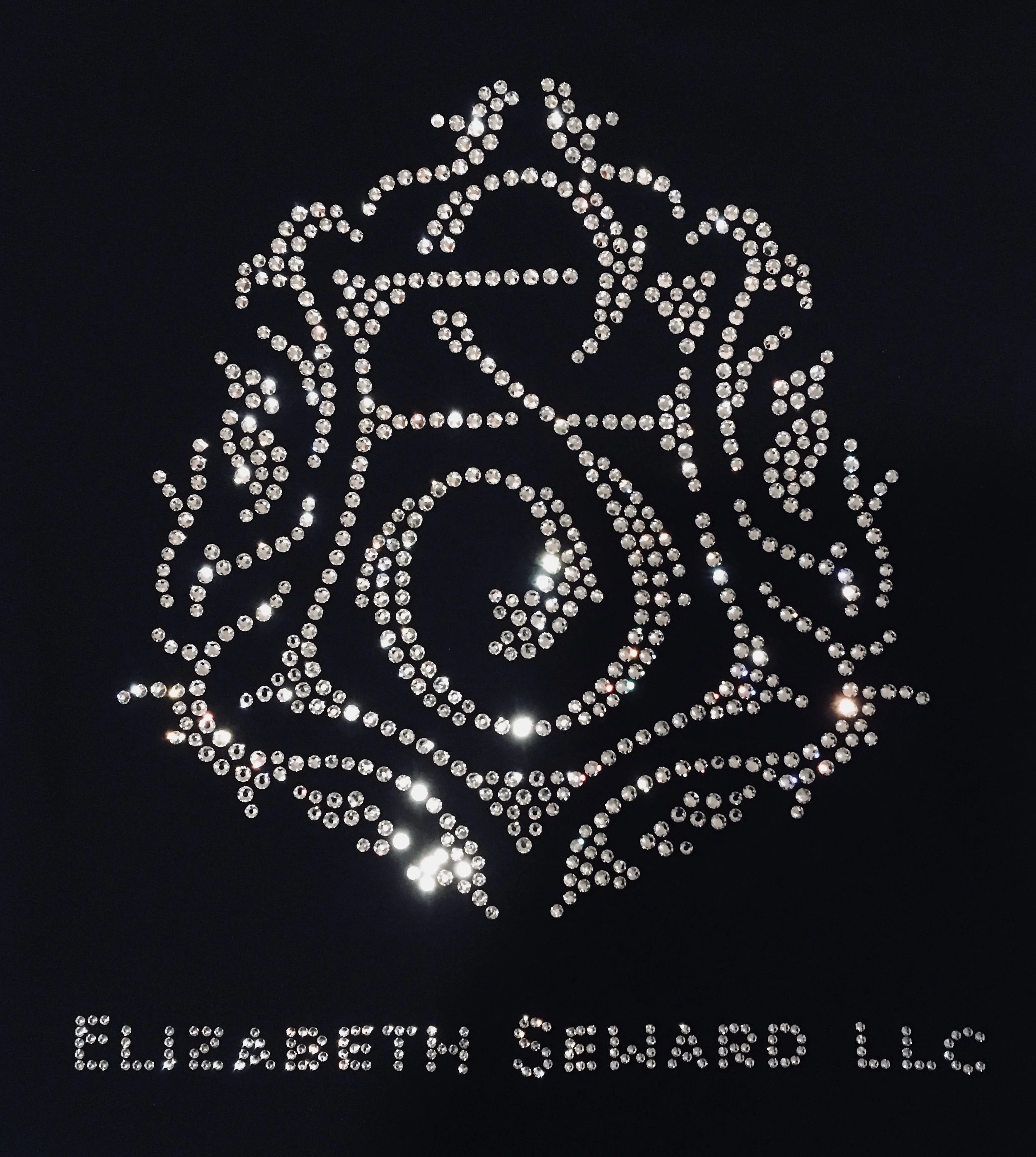 Elizabeth Seward LLC vest
