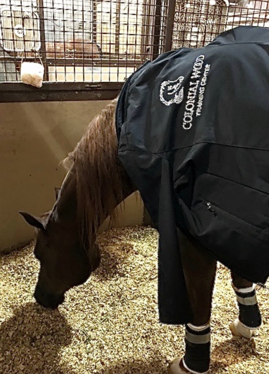 Colonial Wood jacket