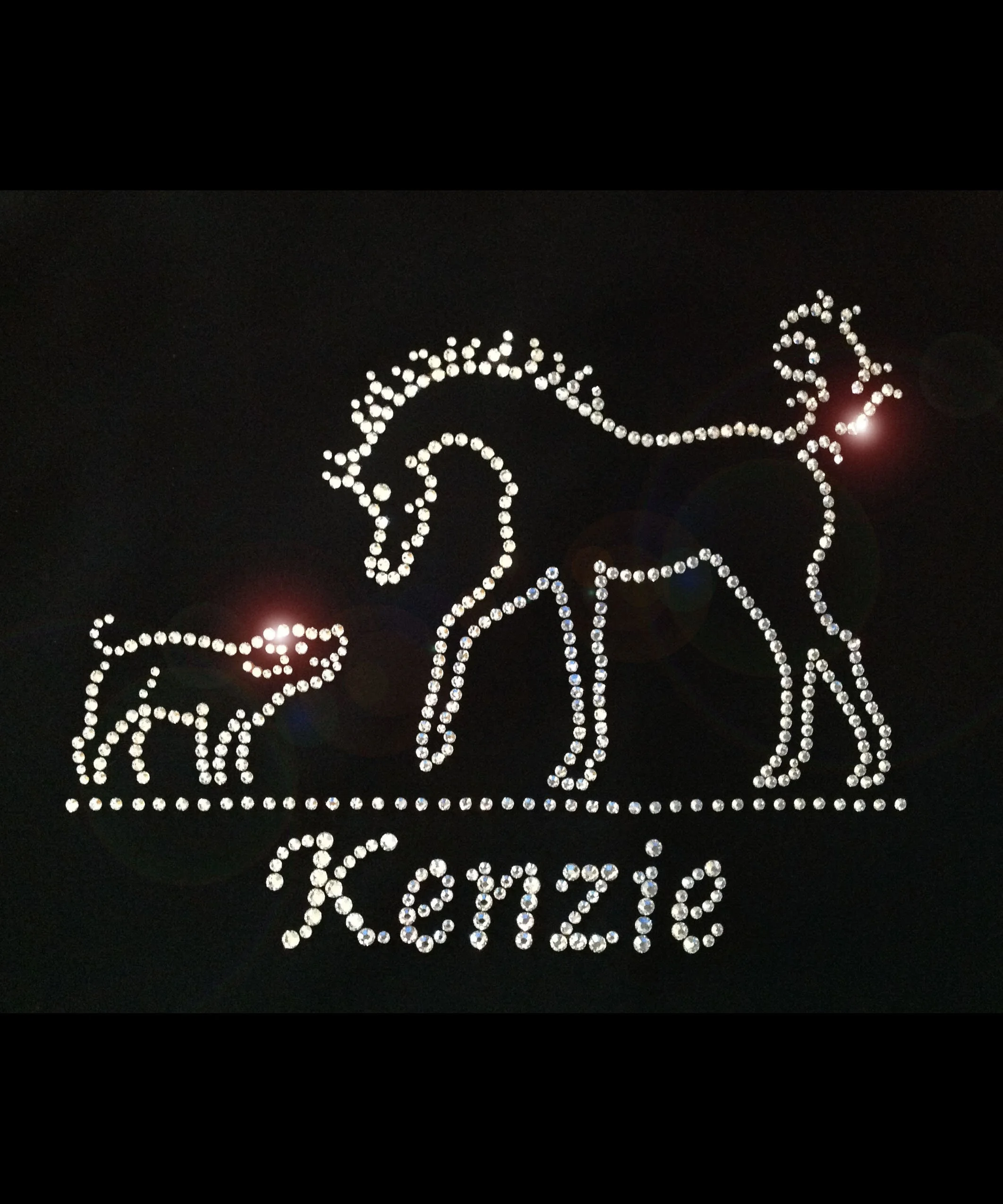 Kenzie’s vest