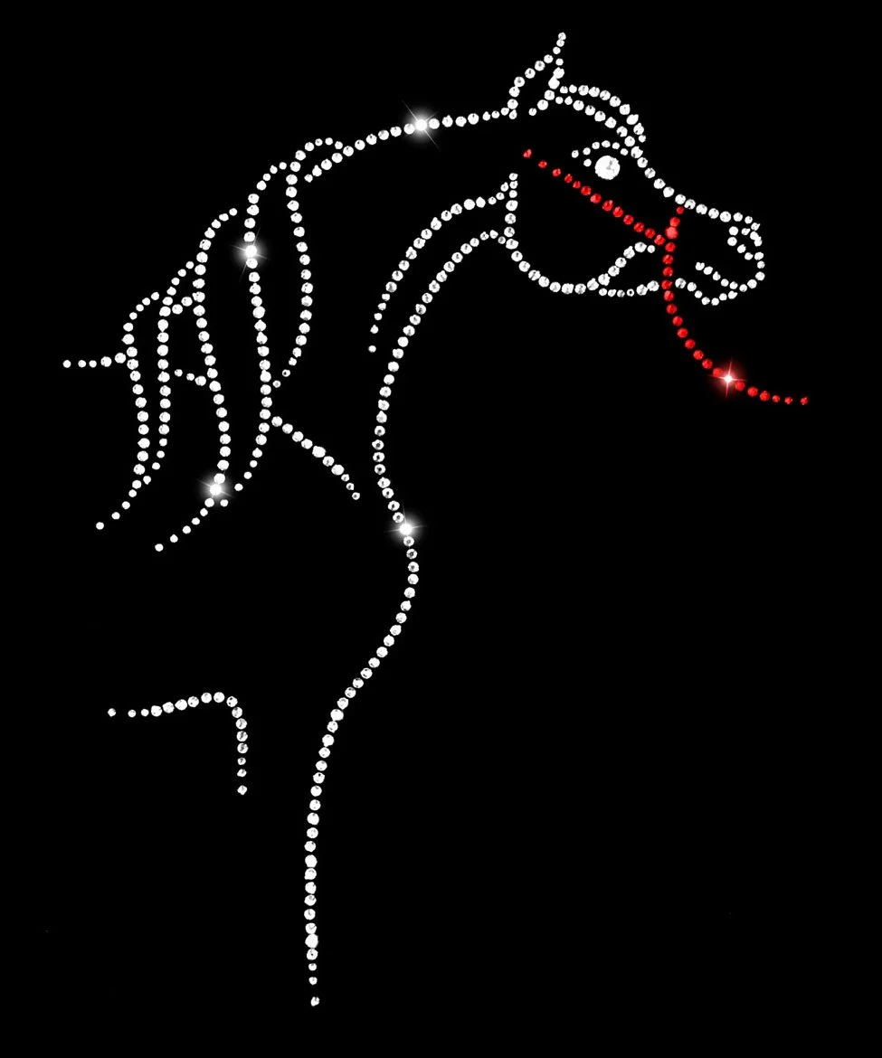 Arabian Regal Halter.jpg