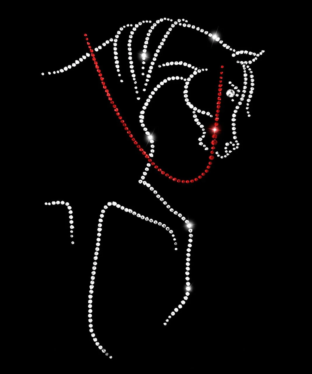 Arabian Regal Western Pleasure.jpg