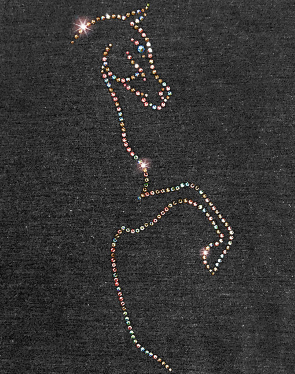 Screen Shot 2026-02-19 at 12.11.47 PM.png