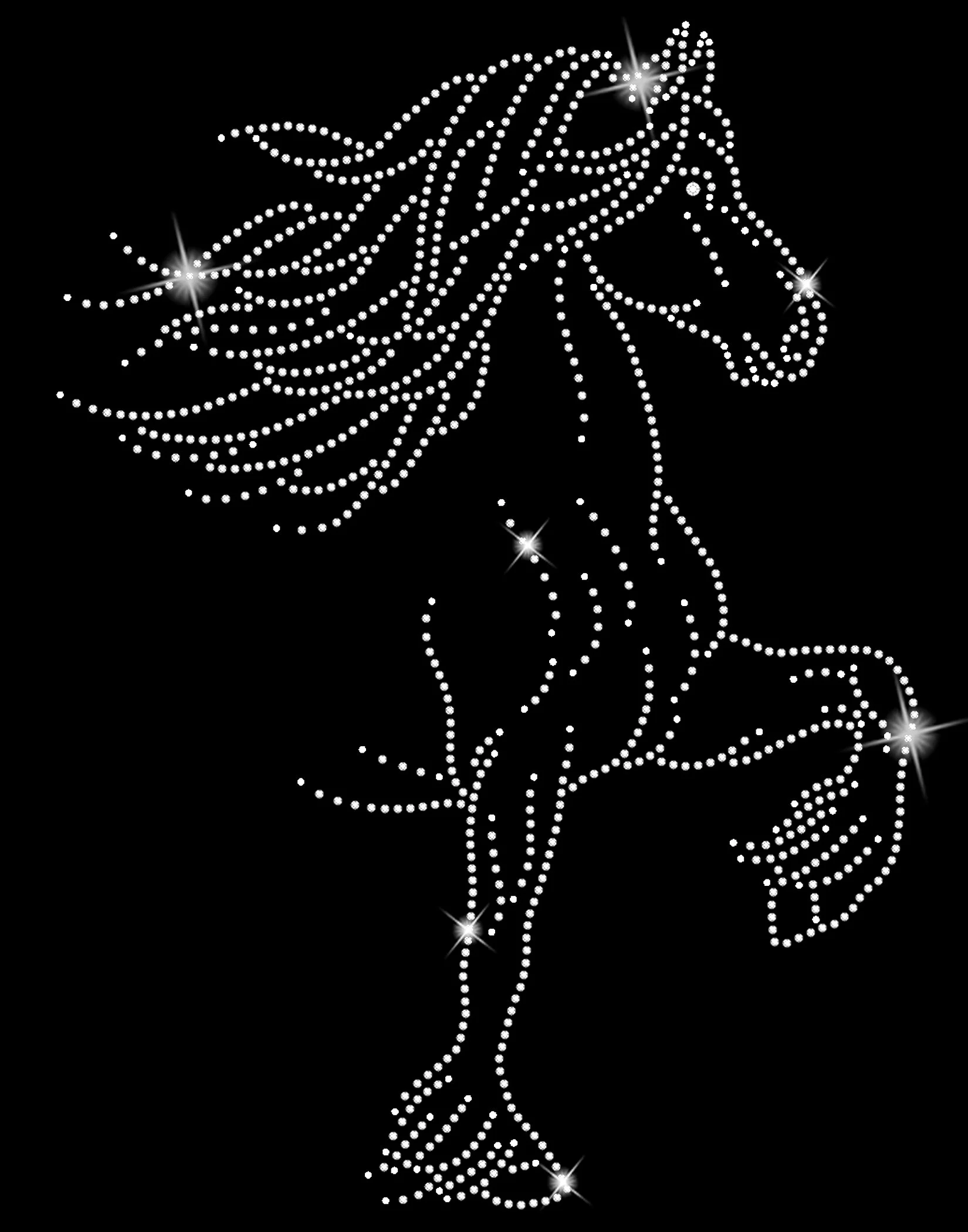 friesian logo.jpg