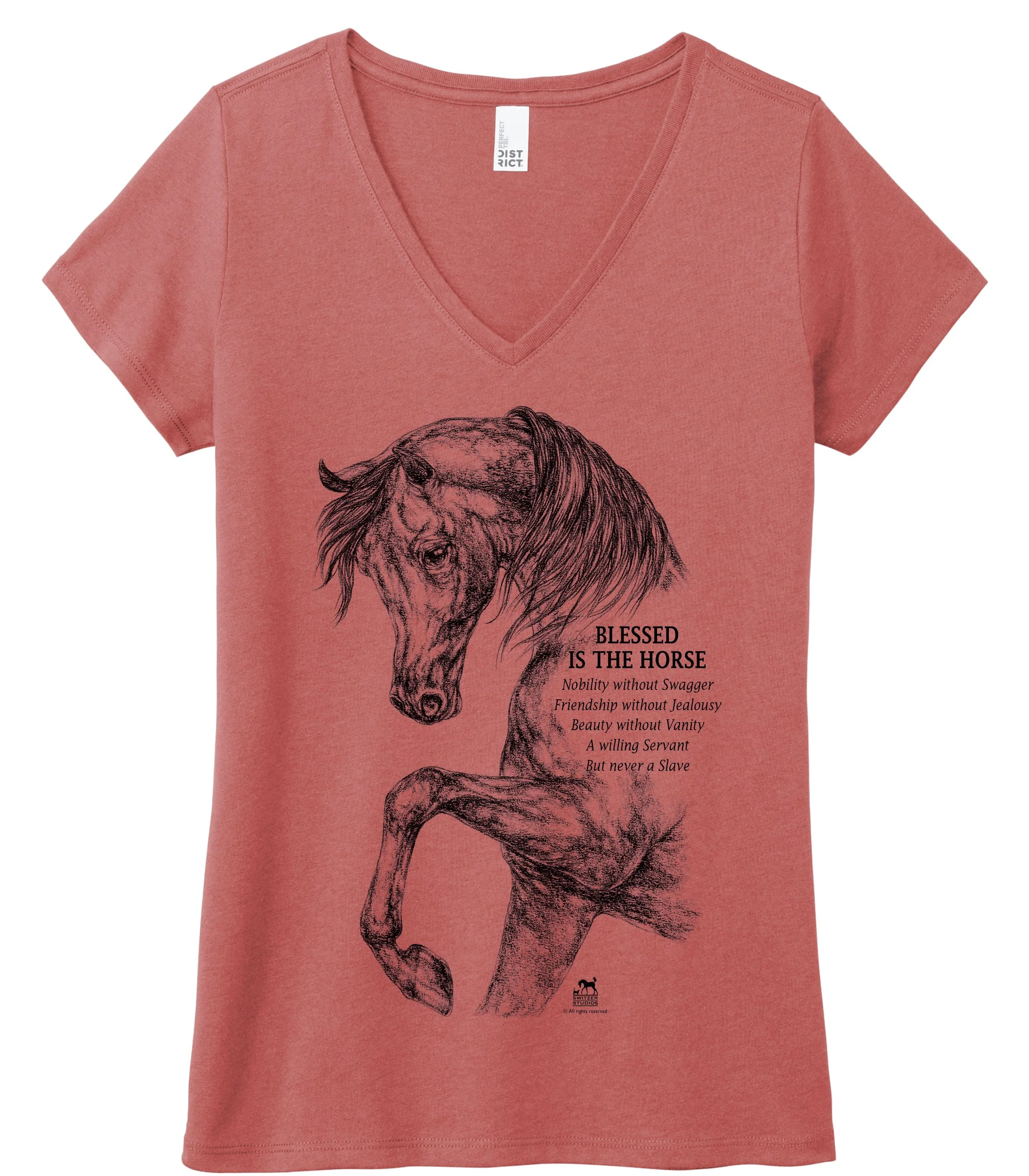 Blessed blush v-neck t.jpg