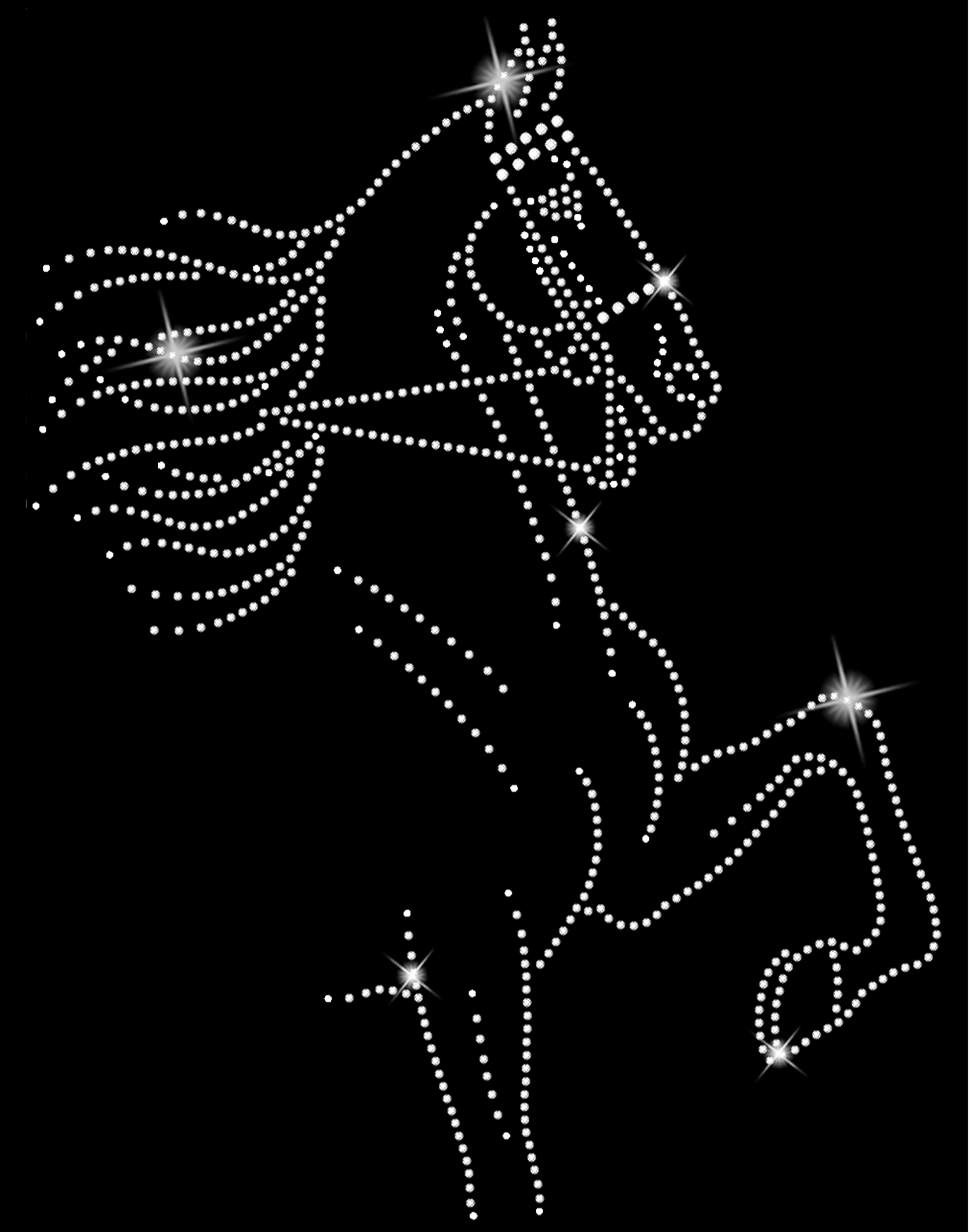 Screen Shot 2026-02-18 at 11.23.53 AM.png