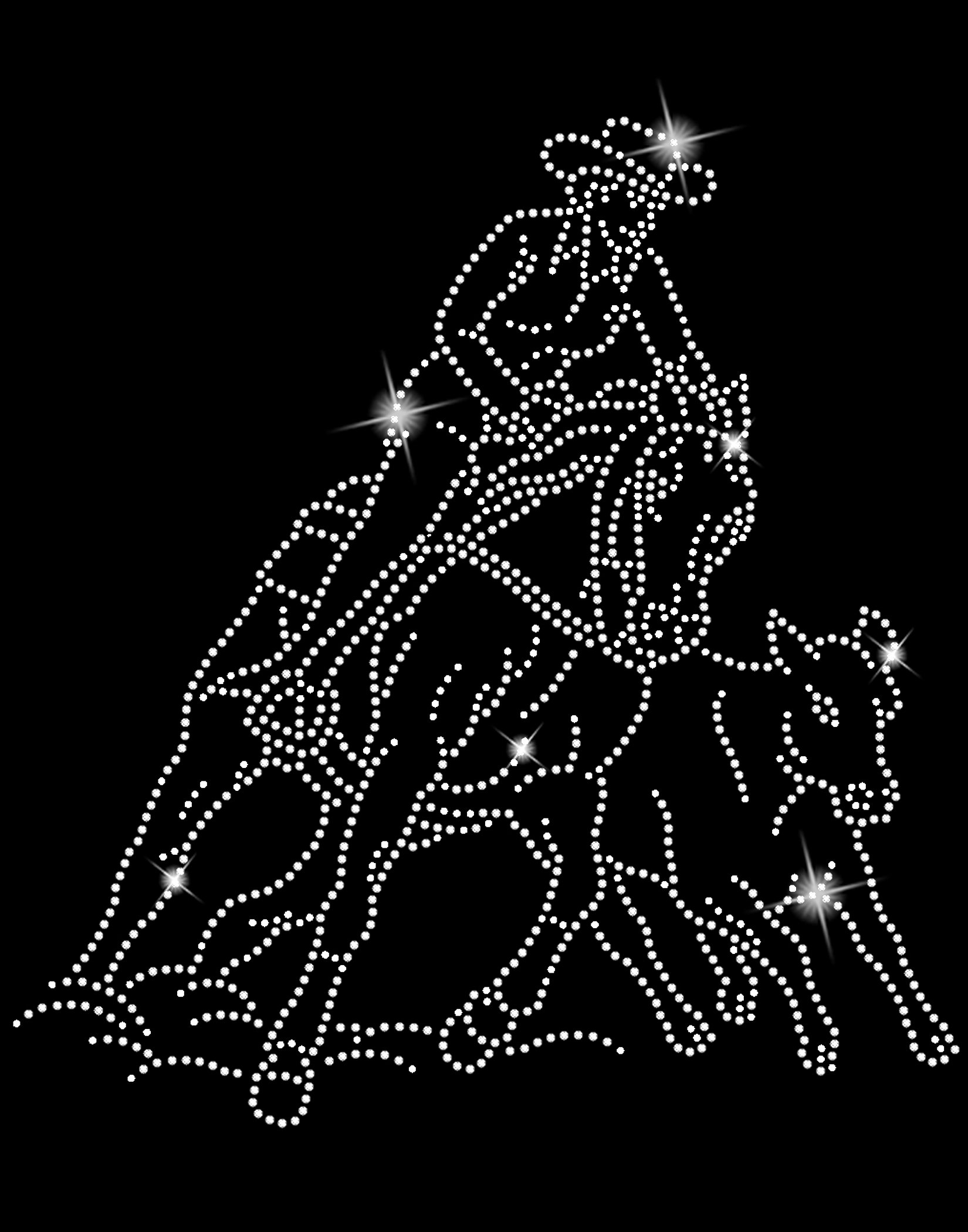 work western logo.jpg