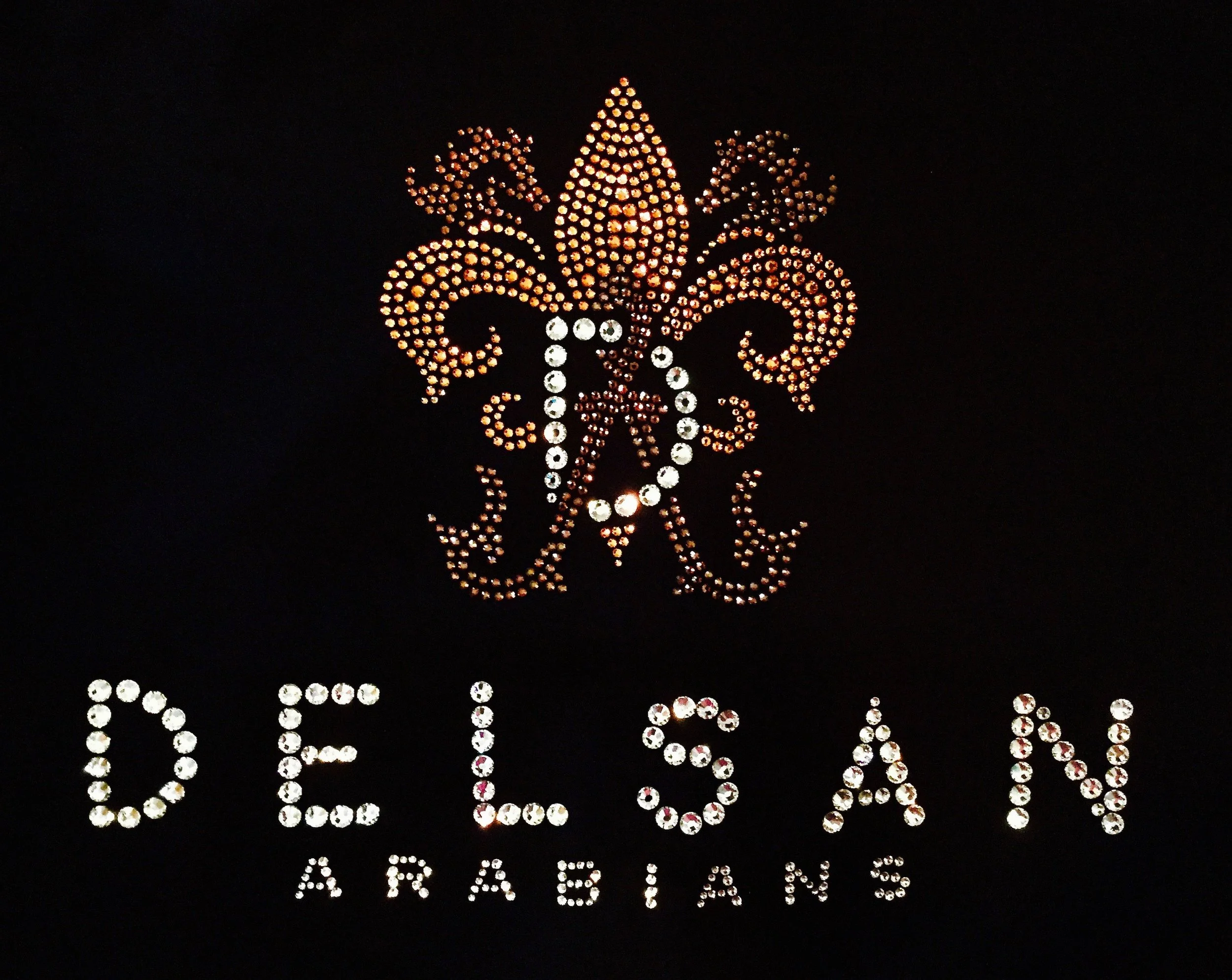 Delsan Arabians jacket