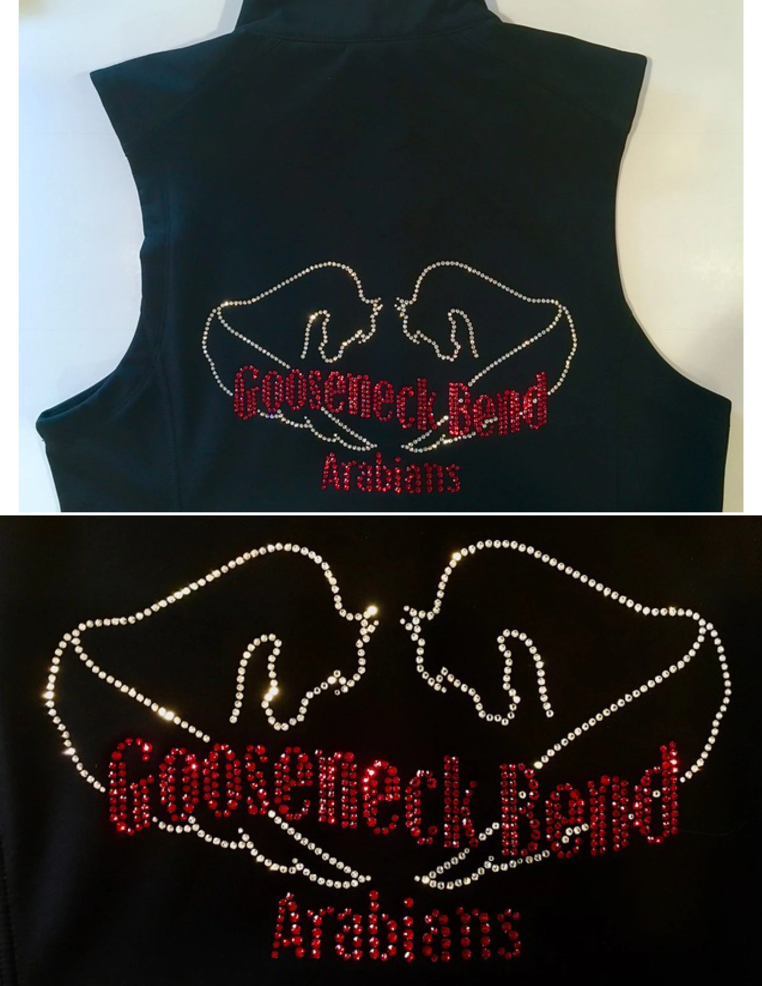 Gooseneck Bend Arabians vest