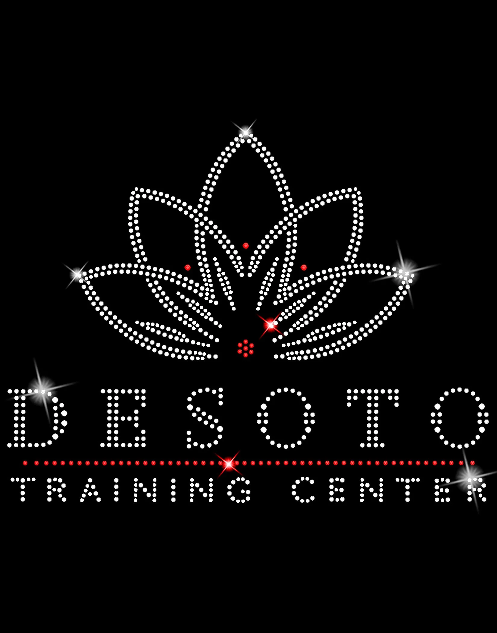 DeSoto logo.jpg