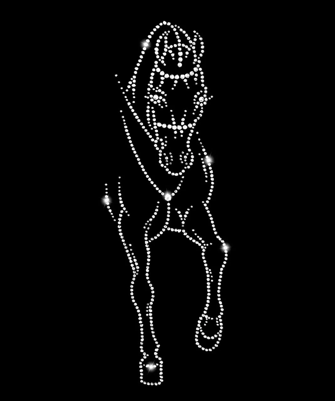 Arabian Supreme Hunter Pleasure.jpg