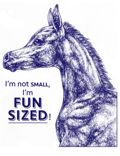 Fun-Size-ART-NAVY-510x660.png