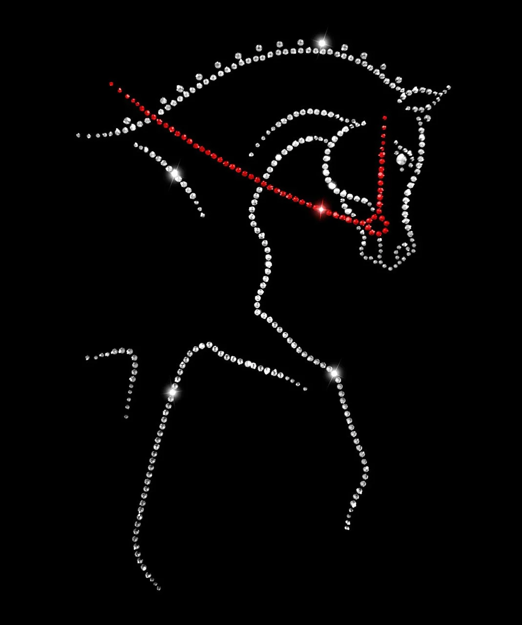 Arabian Regal Hunter Pleasure.jpg