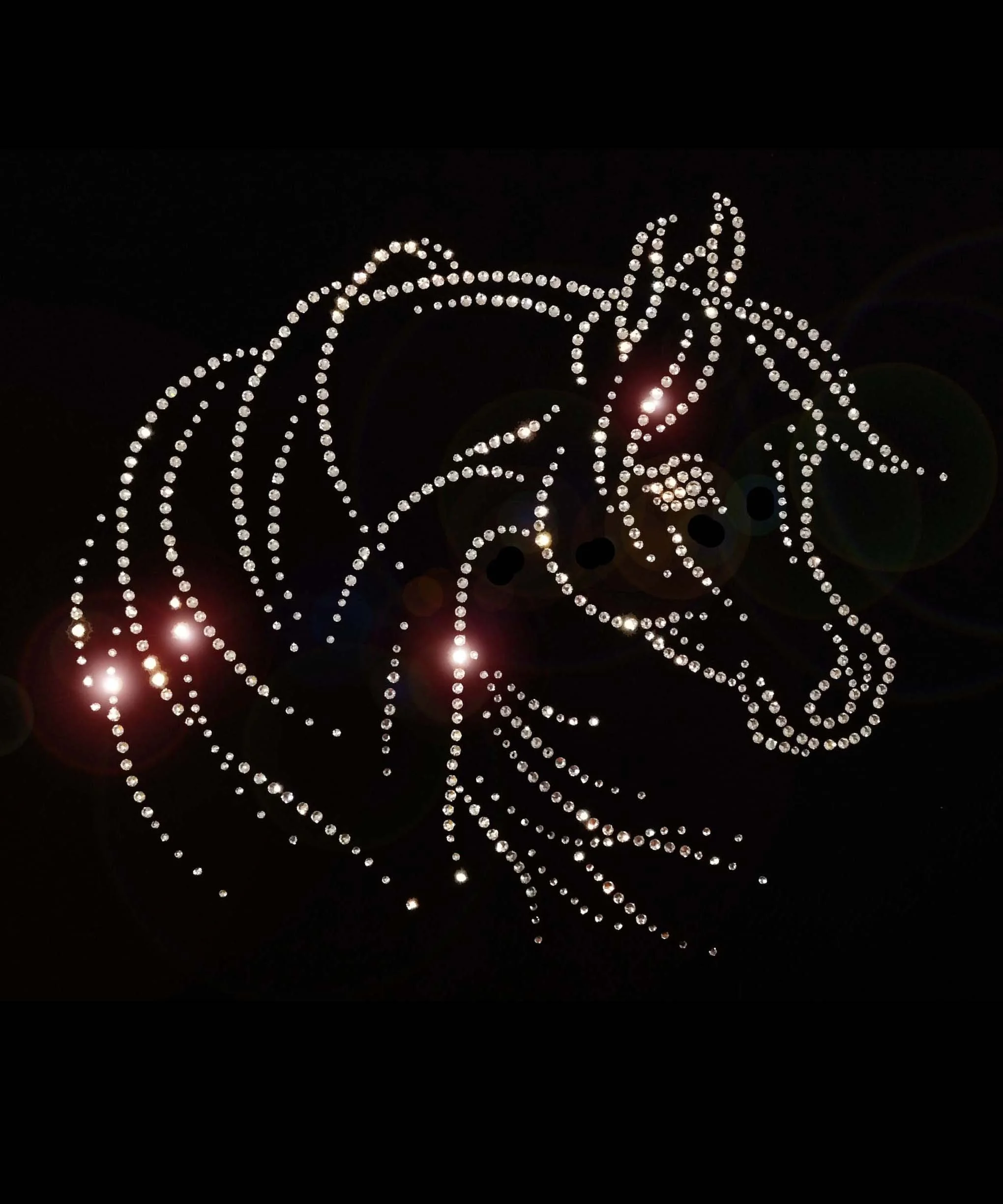 Beautiful Arabian.jpg