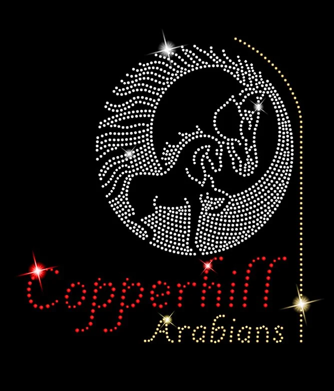 Copperhill logo final.jpg