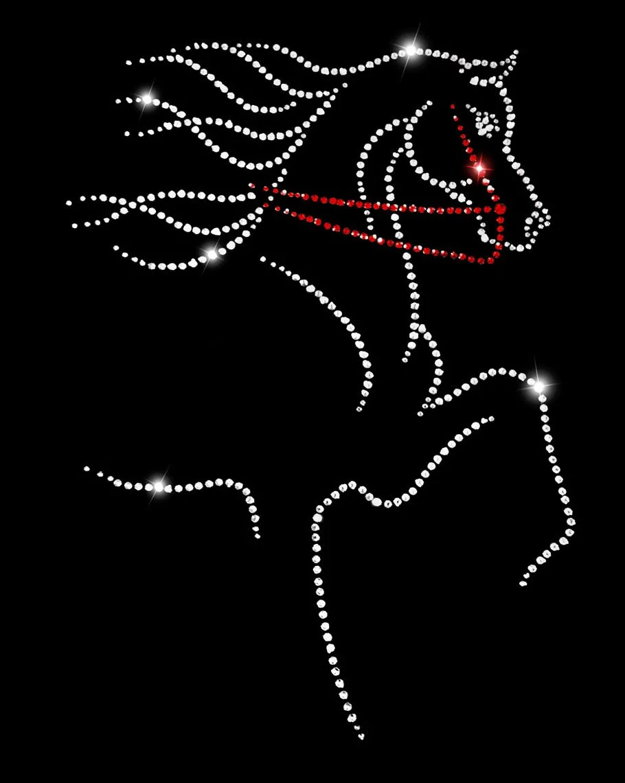 Arabian Regal English Pleasure.jpg