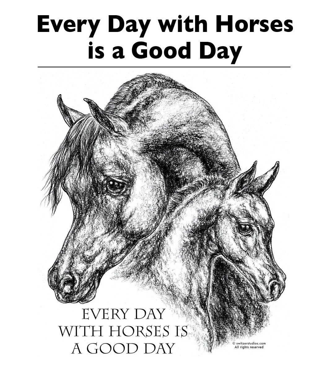 Every Day w:Horses GIF front page.jpg