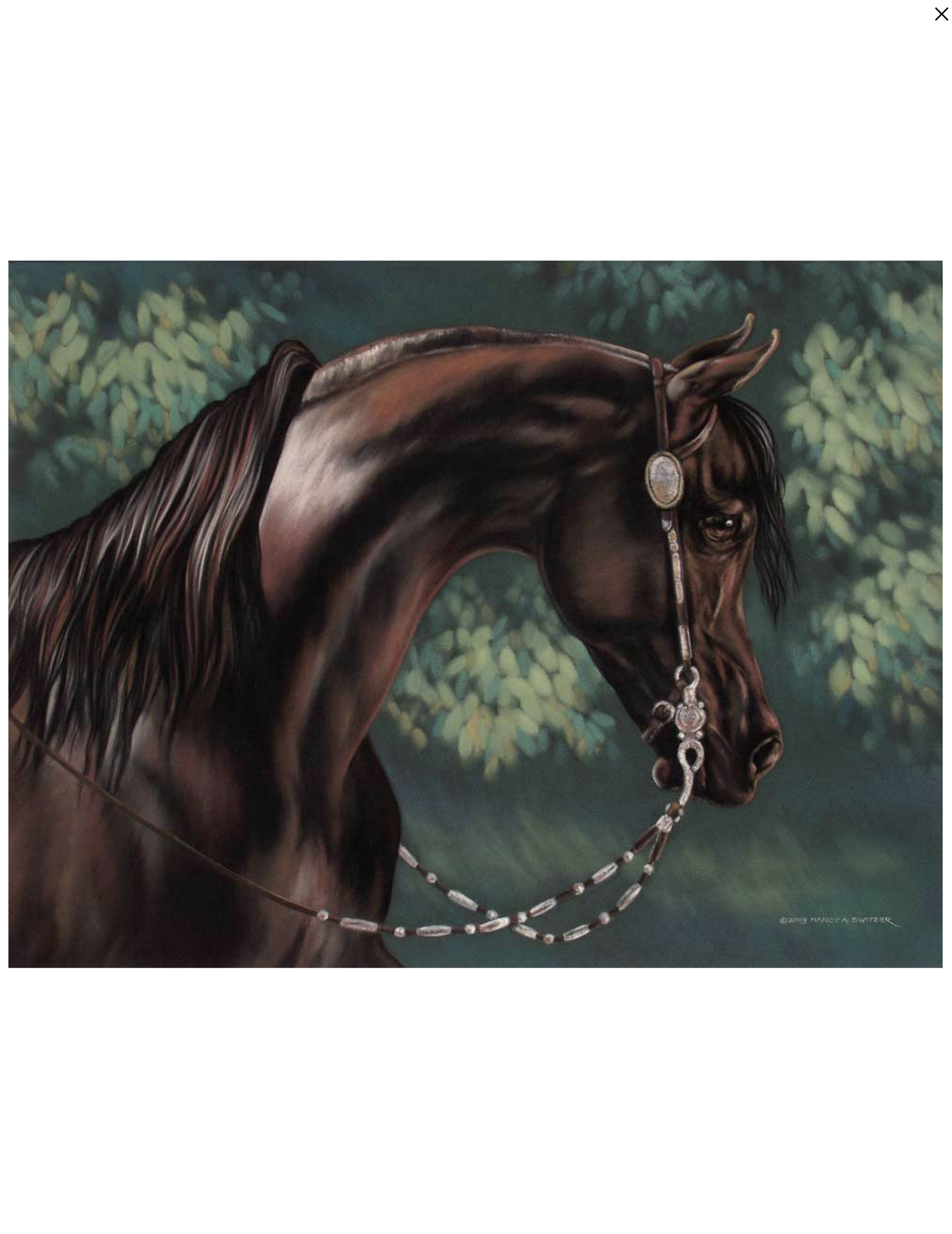 BEST SELLER! The Westerner