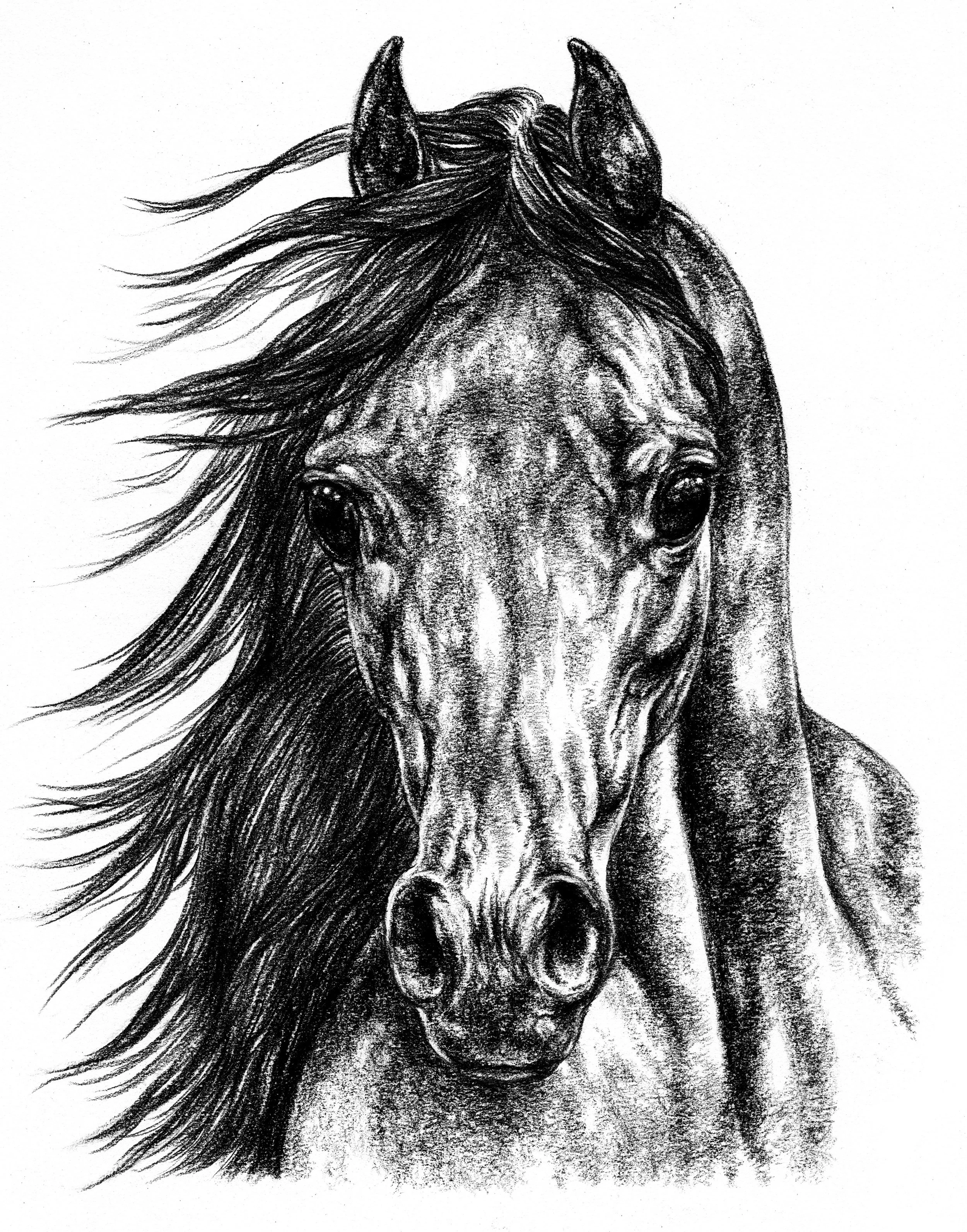 Dreamy Eyes ARTWORK.jpg