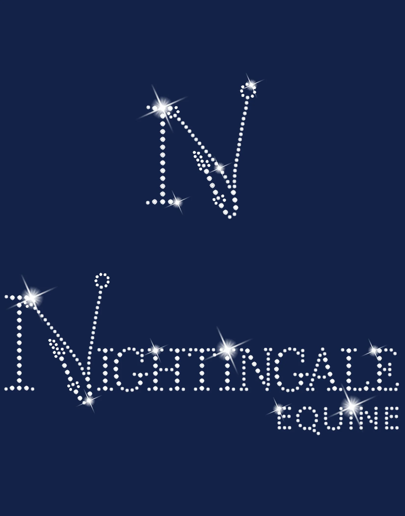 Nightingale Equine navy logo & N.jpeg