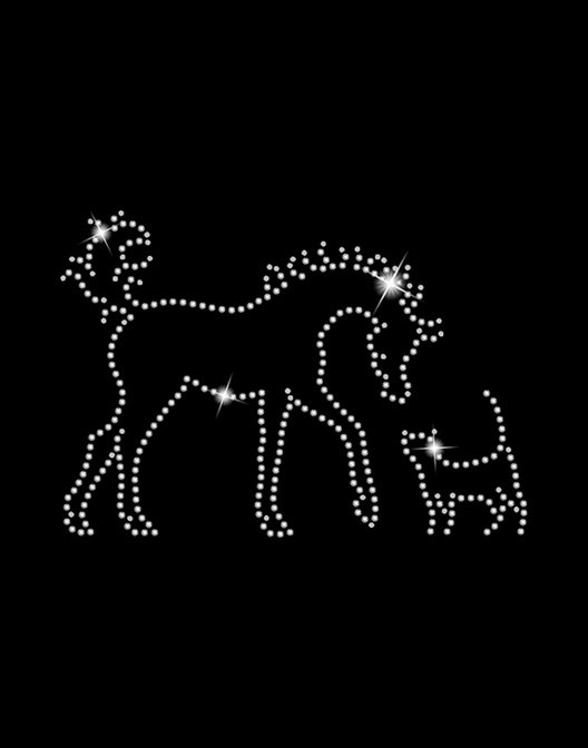 foal and cat blk bg.jpg