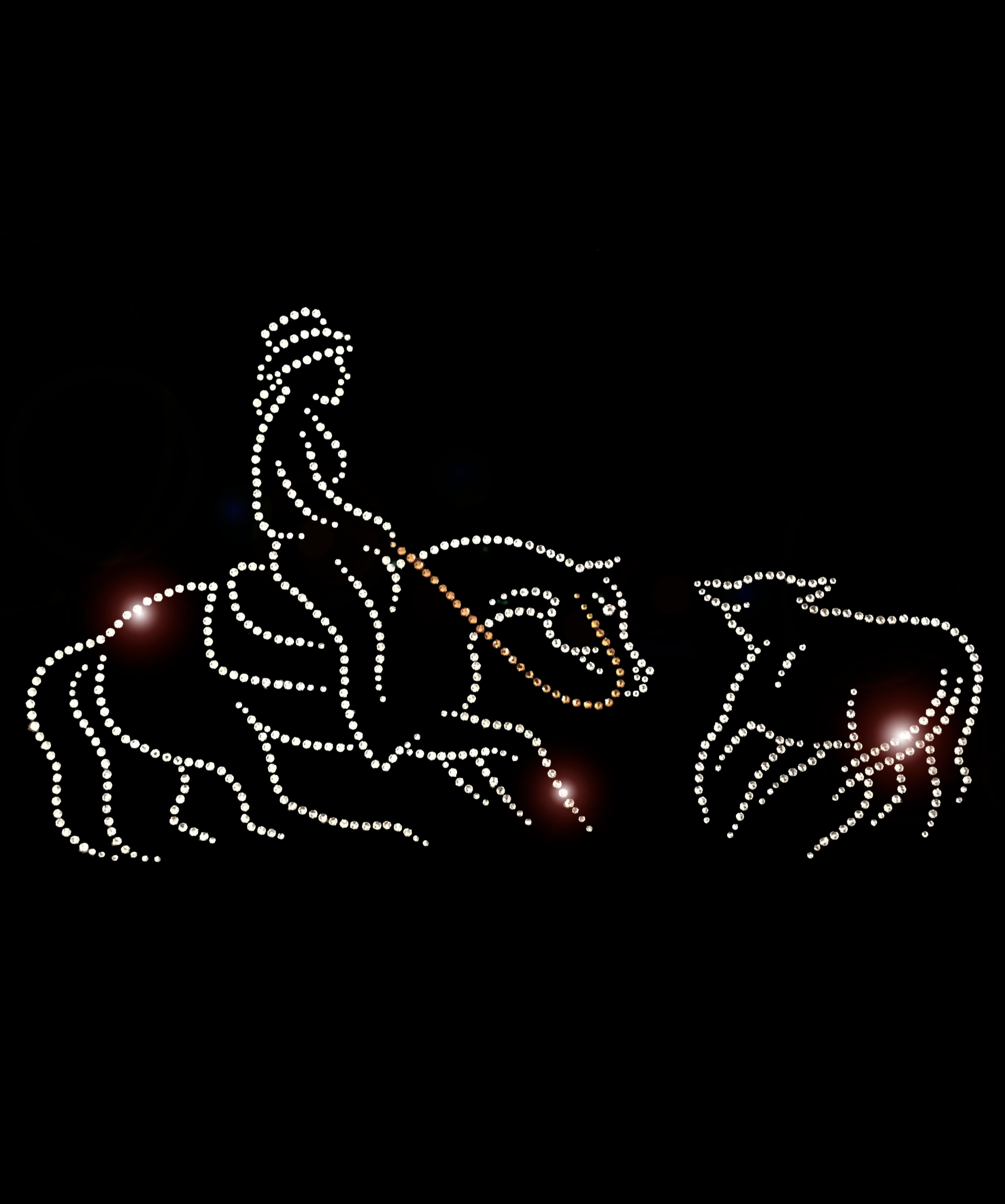 Screen Shot 2026-02-16 at 12.22.52 PM.png