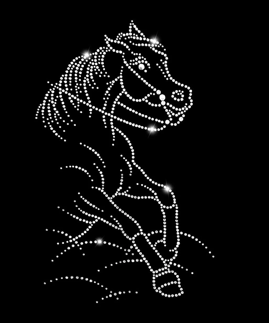 Arabian Supreme Reining.jpg