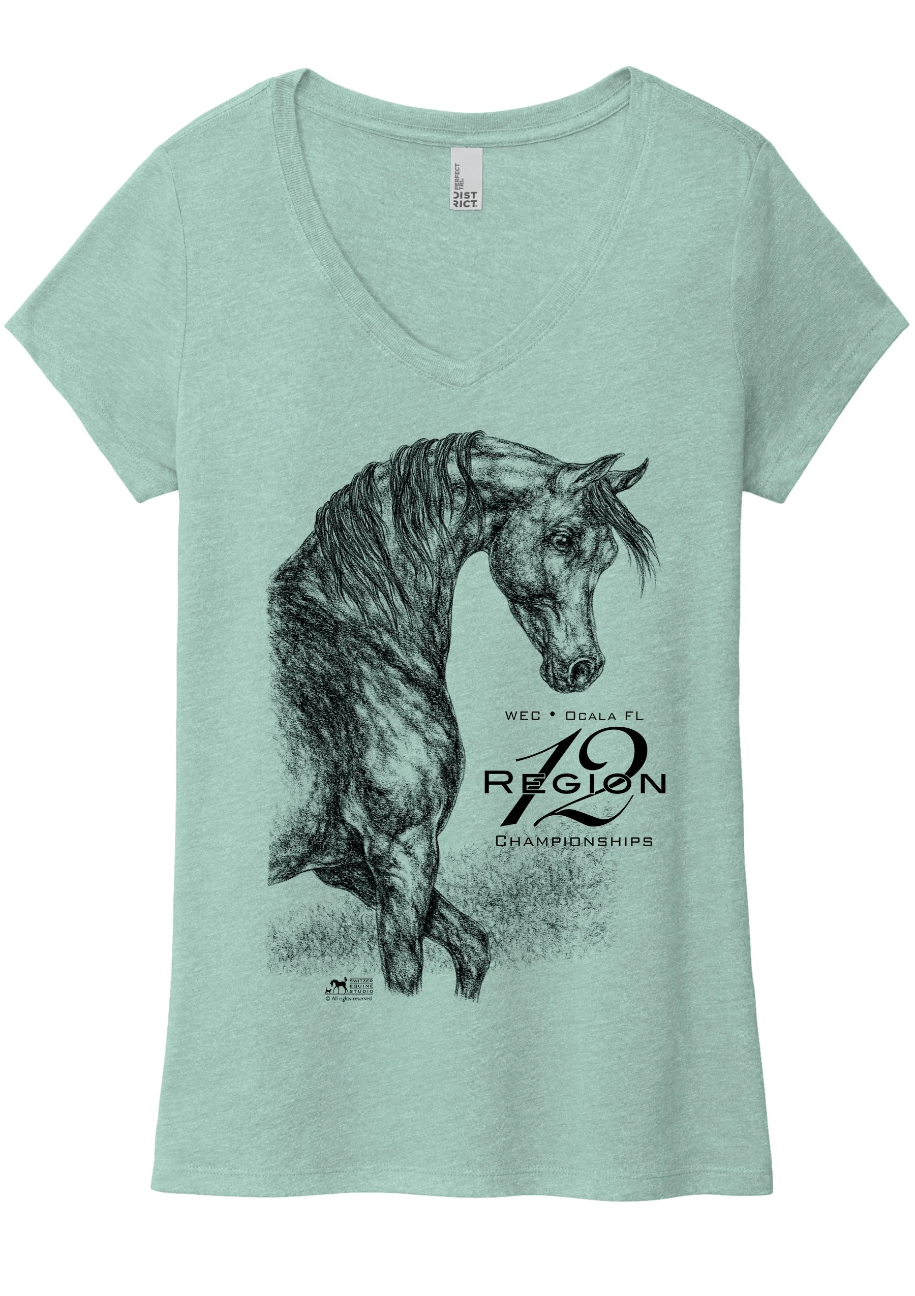 Region 12 2026 sage v-neck.jpg