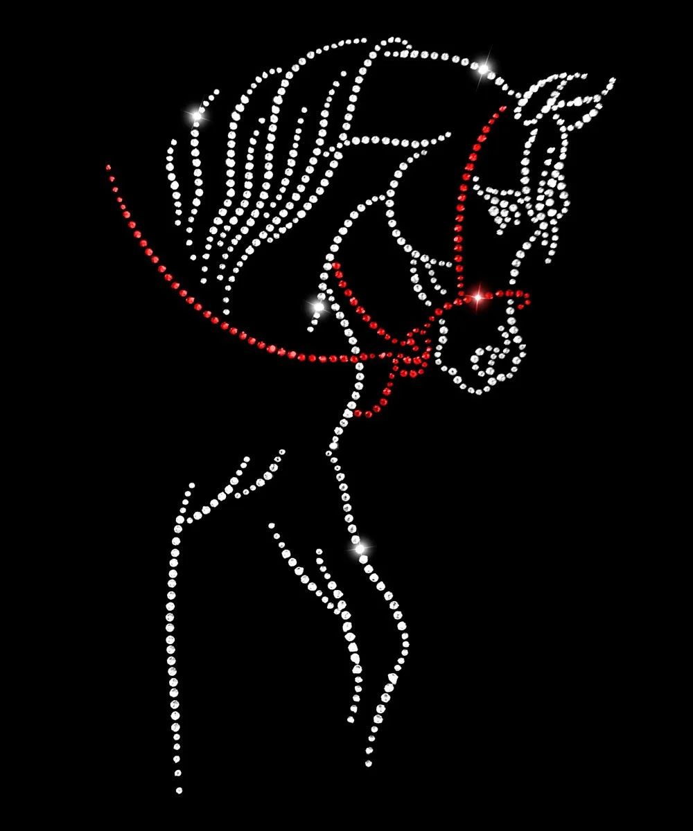 Arabian Regal Bosal Western Pleasure.jpg