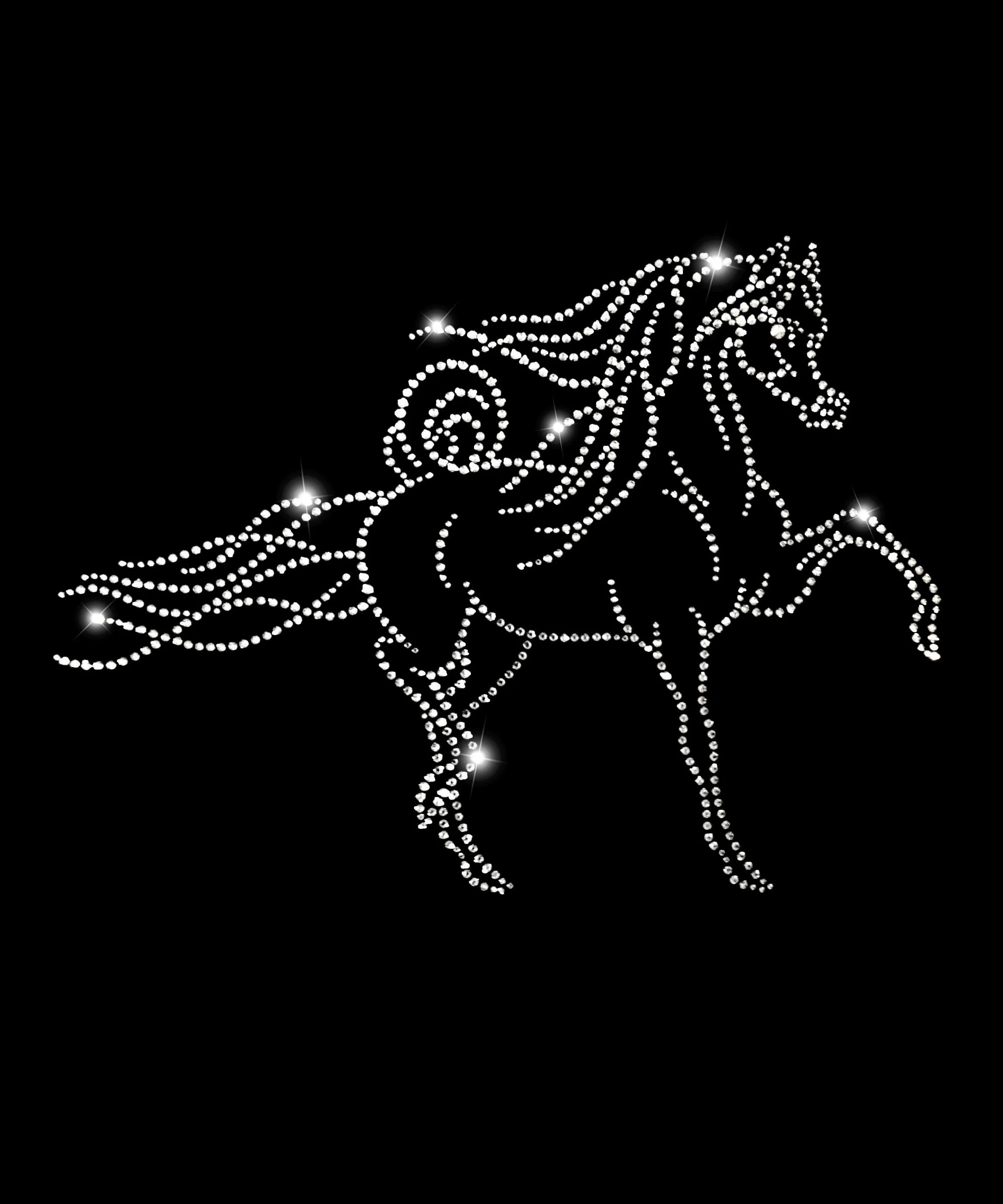 Arabian Trotting Arabian 2.jpg