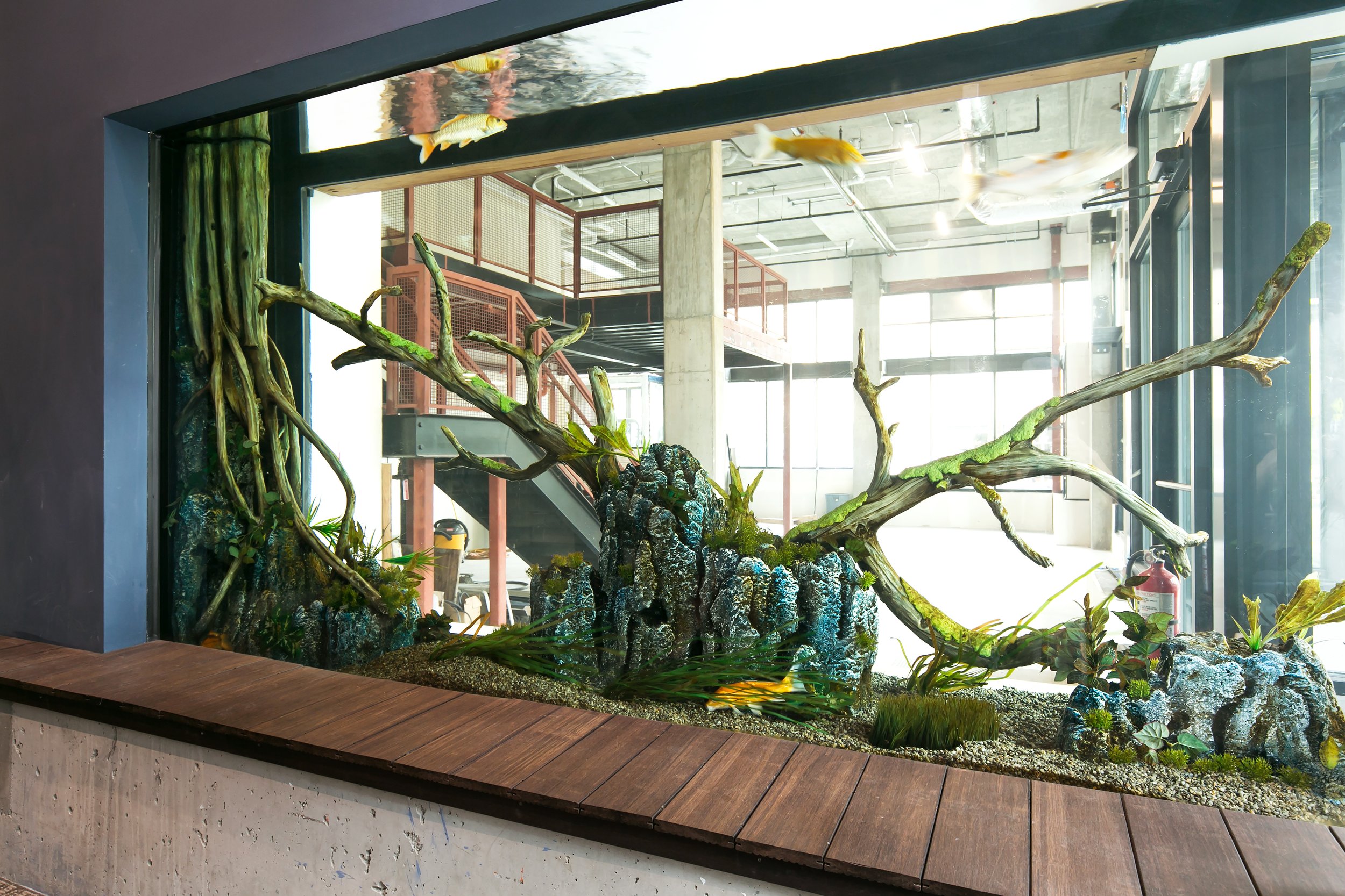 Indoor aquarium with fish, large branches, rocks, and plants, surrounded by floor and windows.
