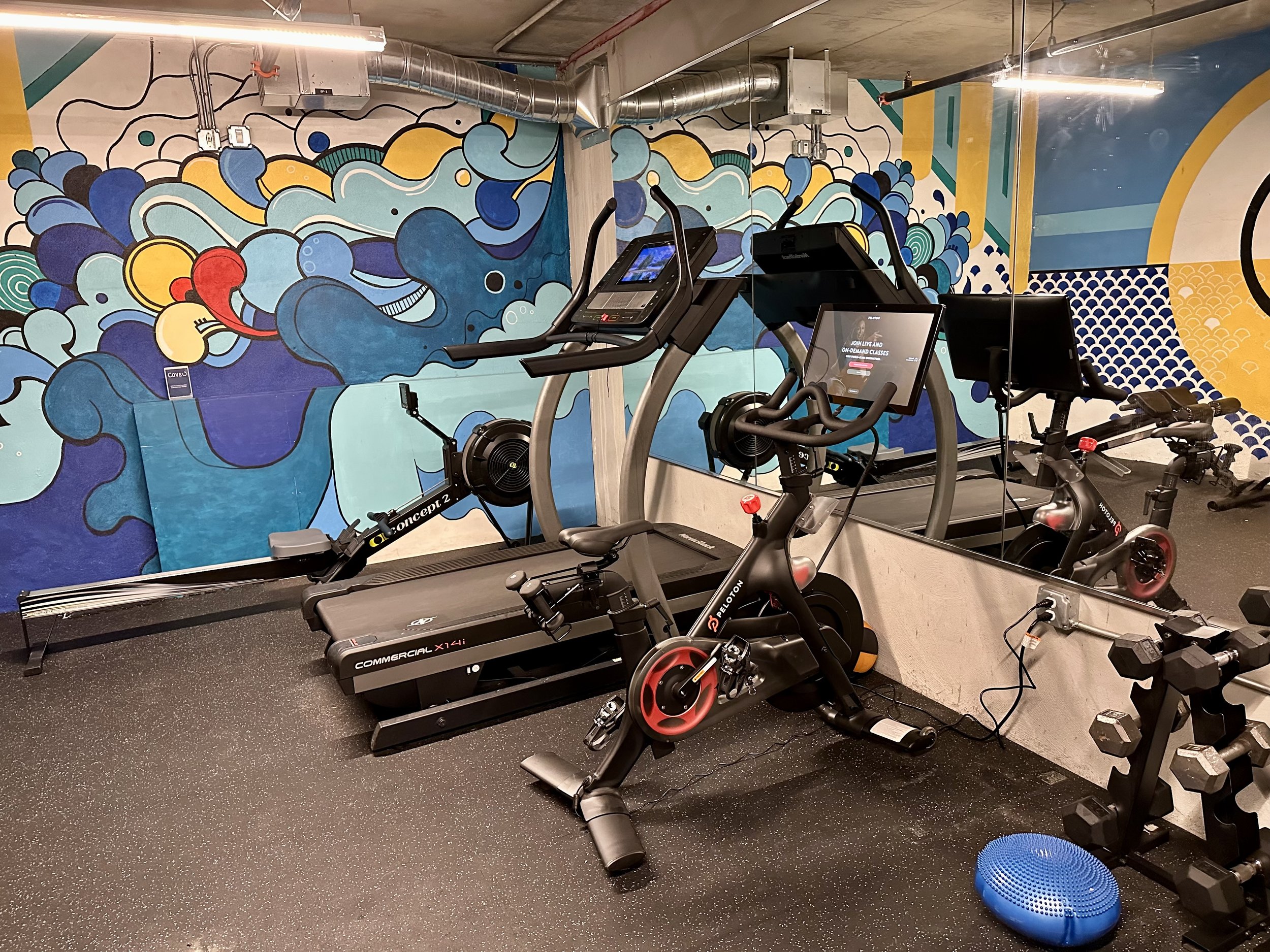 Fitness equipment in a gym with a treadmill, stationary bike, dumbbells, and a blue balance disc, against a colorful abstract mural wall.