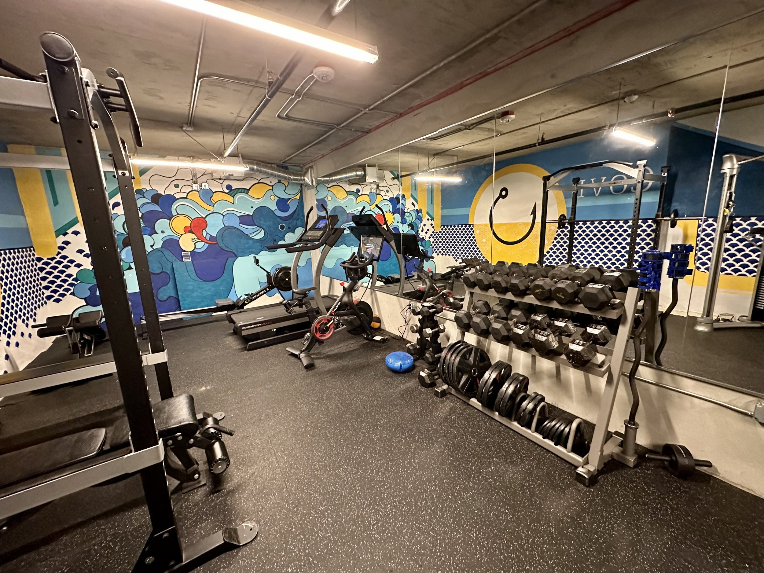 Indoor gym with cardio machines, dumbbells, and mirrors, featuring a colorful mural on the wall.