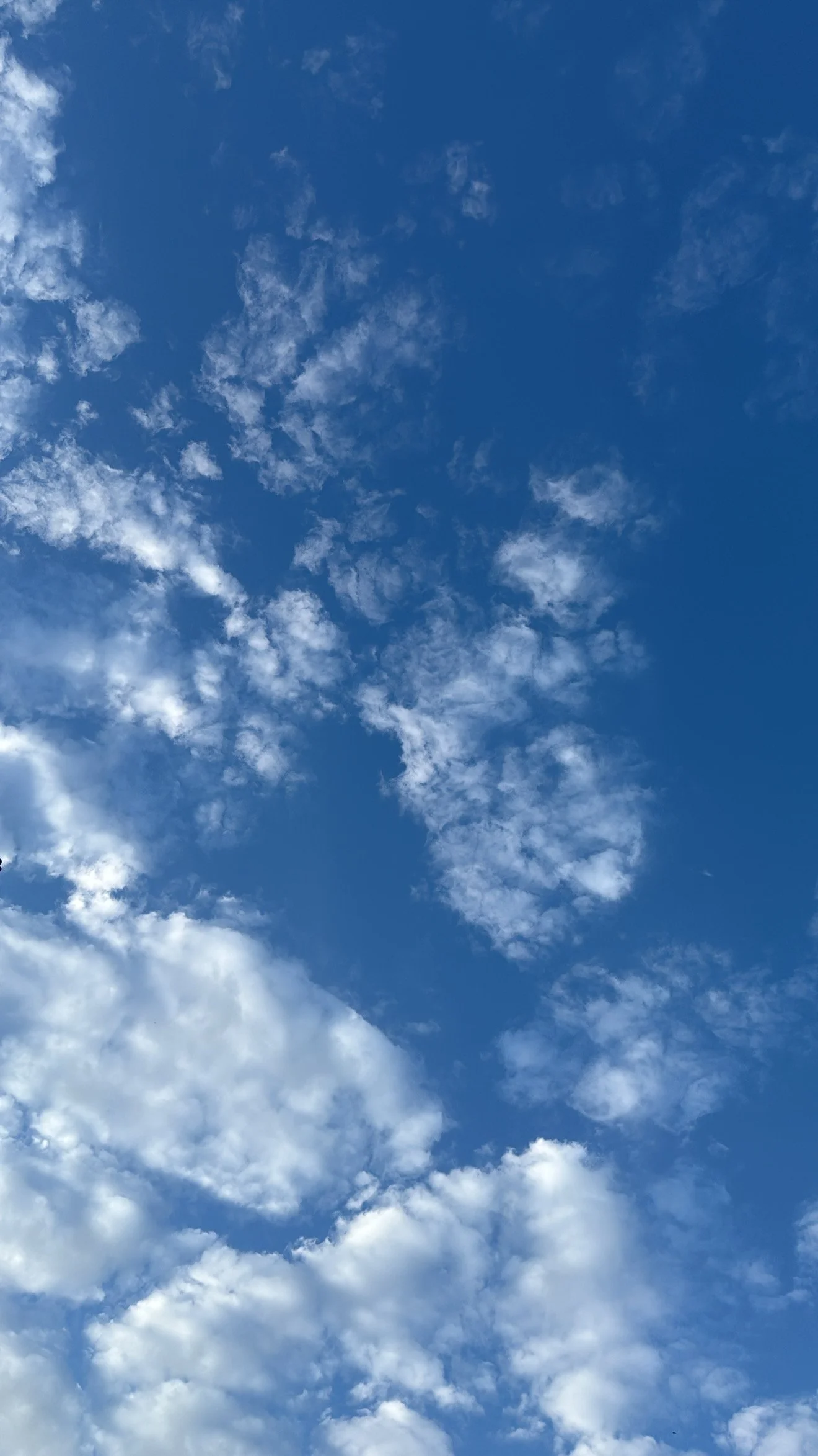 Welcome to the Heal With Me Diaries!